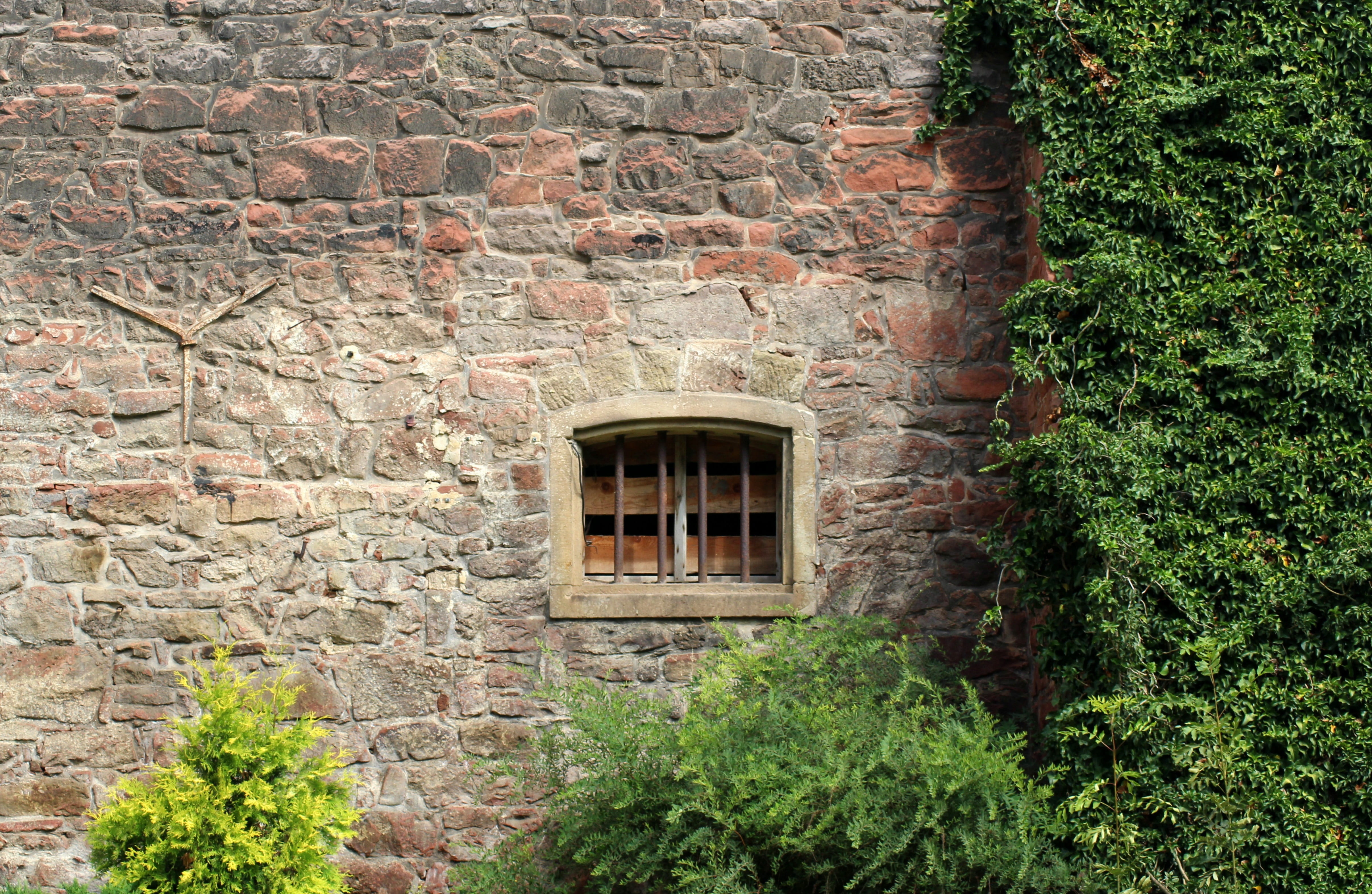 building exterior, outdoors, nature, house, bars on the windows, the past, antique, building, tree, wall - building feature, lake dusia, the structure of the, HD Wallpaper