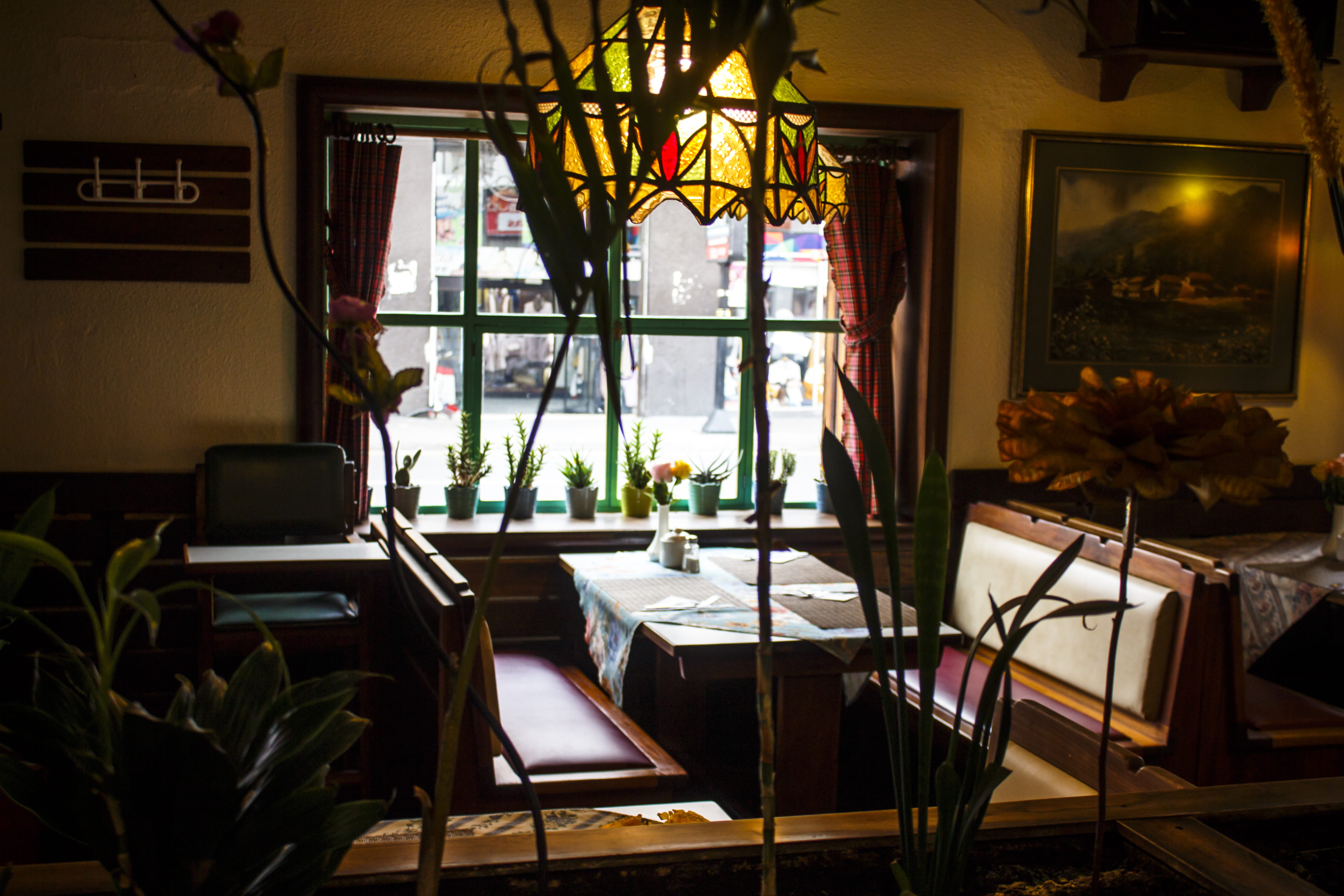 glass - material, glass, windowpane, seat, plants, absence, business, potted plant, plant, architecture, curtain, flowering plant, display, flower, electric lamp, HD Wallpaper