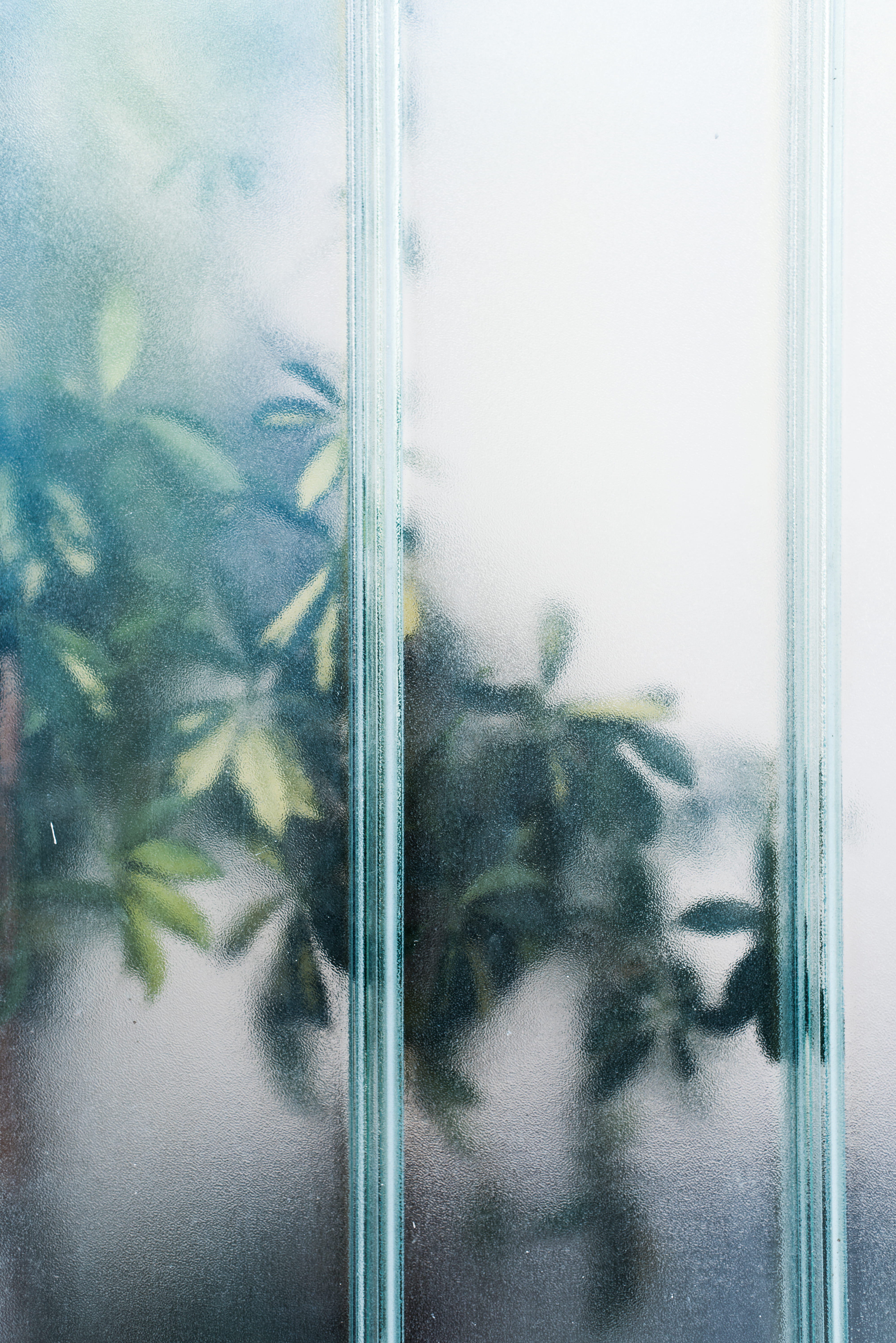 no people, window frame, fog, close-up, architecture, tree, glass, 5K, leafed, windowpane, near, nature, indoors, backgrounds, umbrella, lifestyles, green, Phone HD Wallpaper
