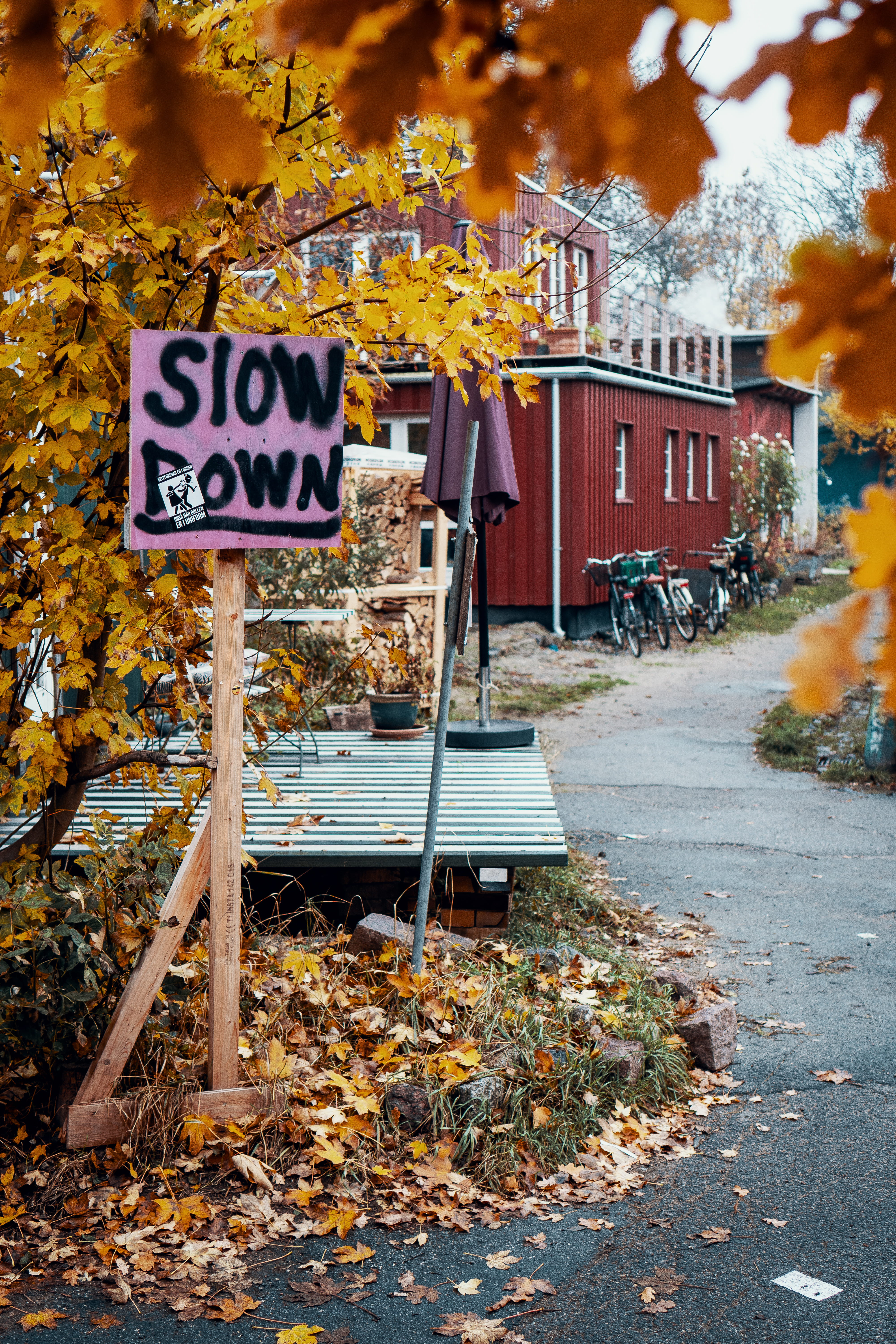 street, day, leaf, machine, bicycle, building exterior, plant, city, path, singange, sign, nature, outdoors, change, no people, 5K, communication, flower, Phone HD Wallpaper
