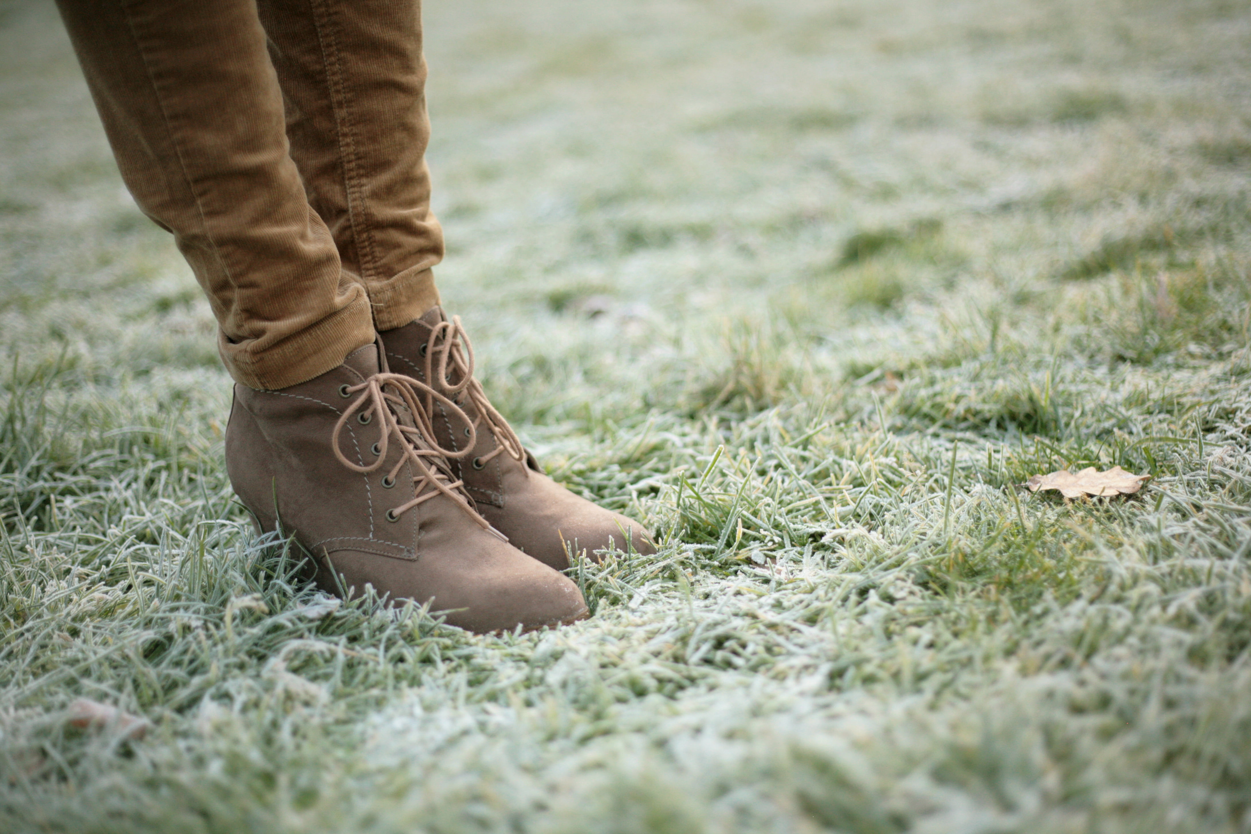 day, lifestyles, 4K, low section, one person, standing, plant, human limb, body part, men, human leg, Stefania Jane, nature, shoe, adult, outdoors, selective focus, HD Wallpaper