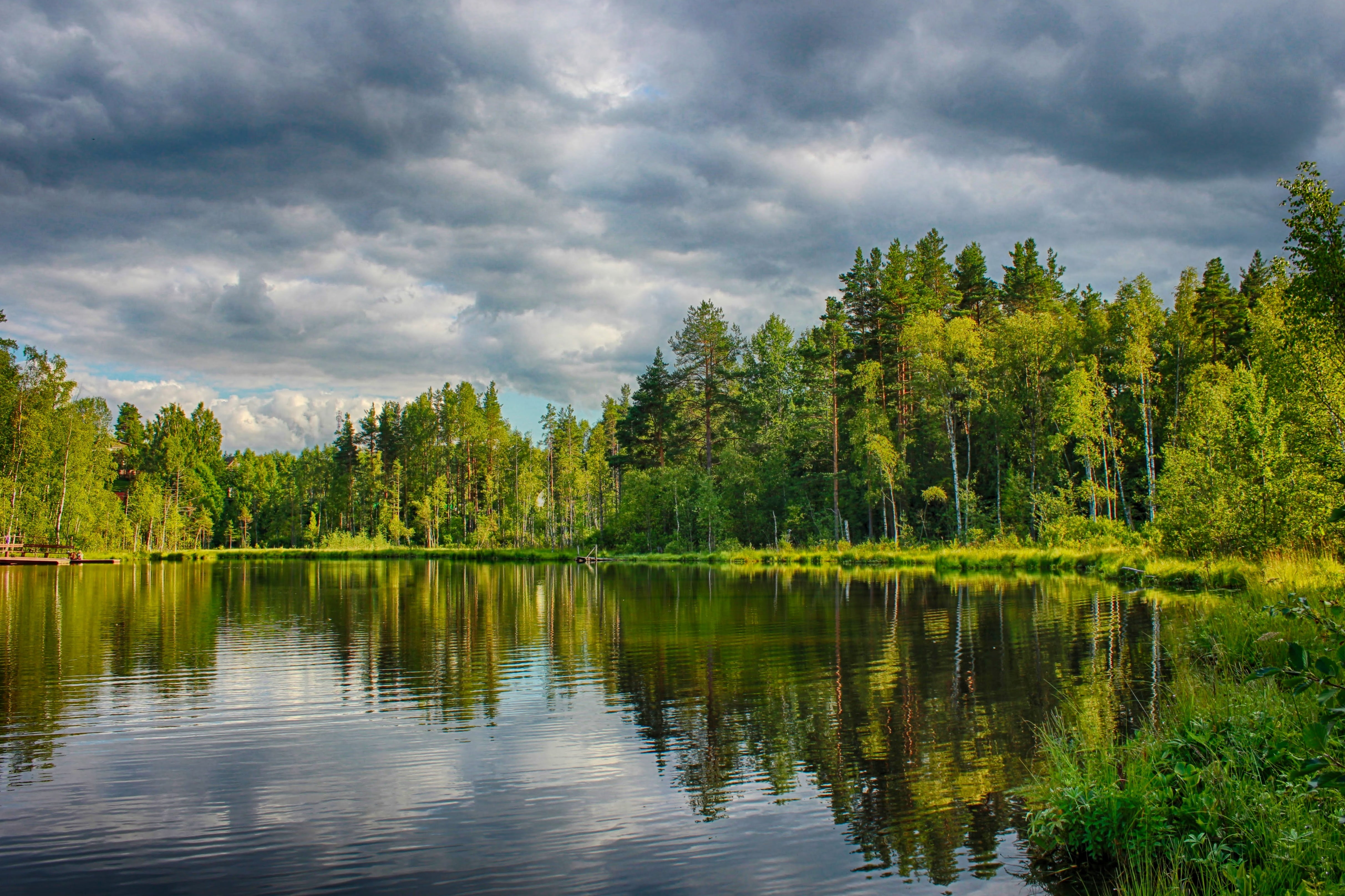 water, forest, summer, landscape, autumn, spb, trees, reflection, near, SaintPetersburg, Beloved, sky, tree, Russia, HDR, blue, lake, 4K, gray, outdoors, HD Wallpaper