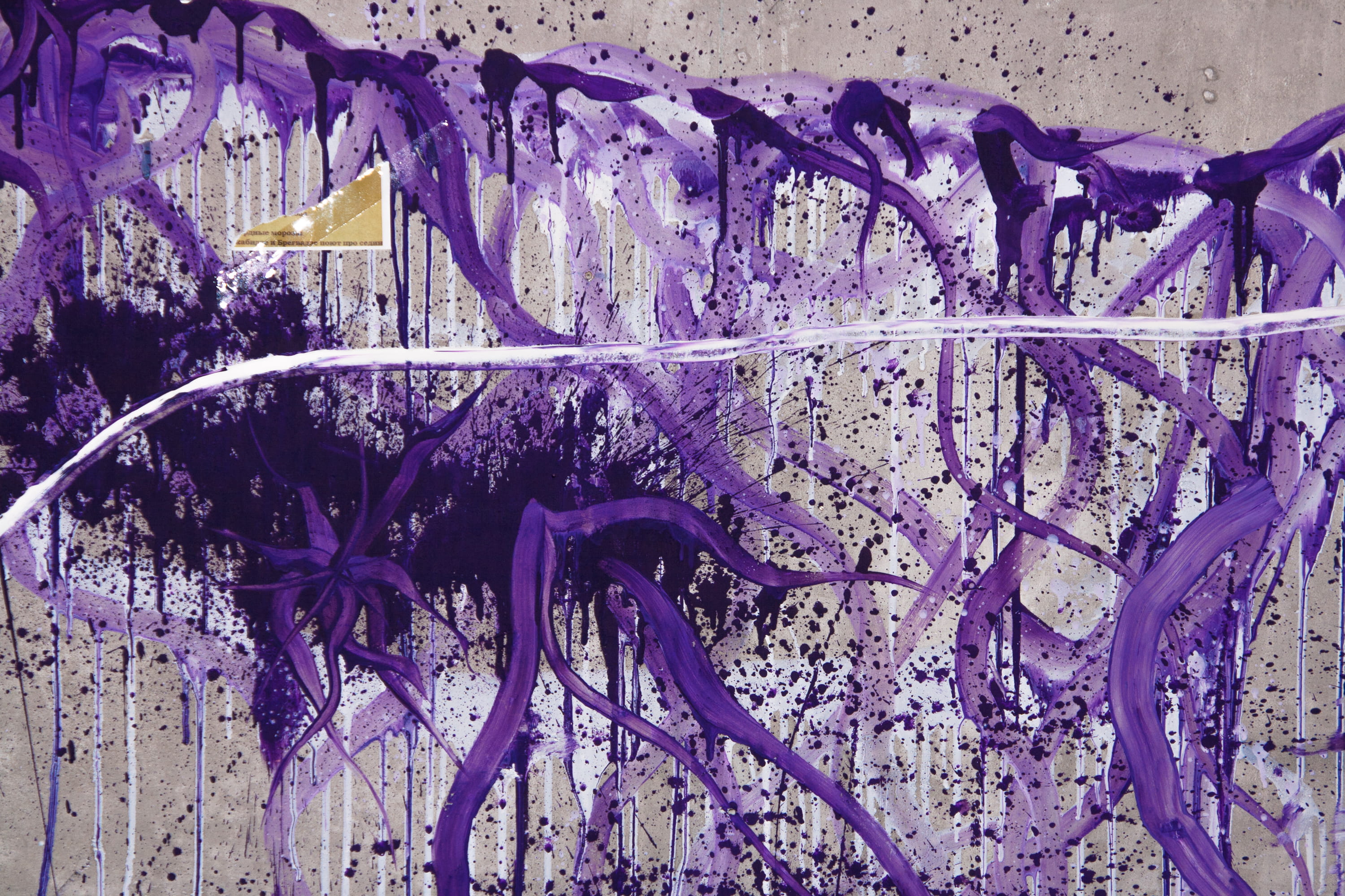 no people, graffiti, nature, close-up, paint, wall - building feature, vulnerability, plant, lavender, grunge, colorful, background, flower, spb, beauty in nature, HD Wallpaper