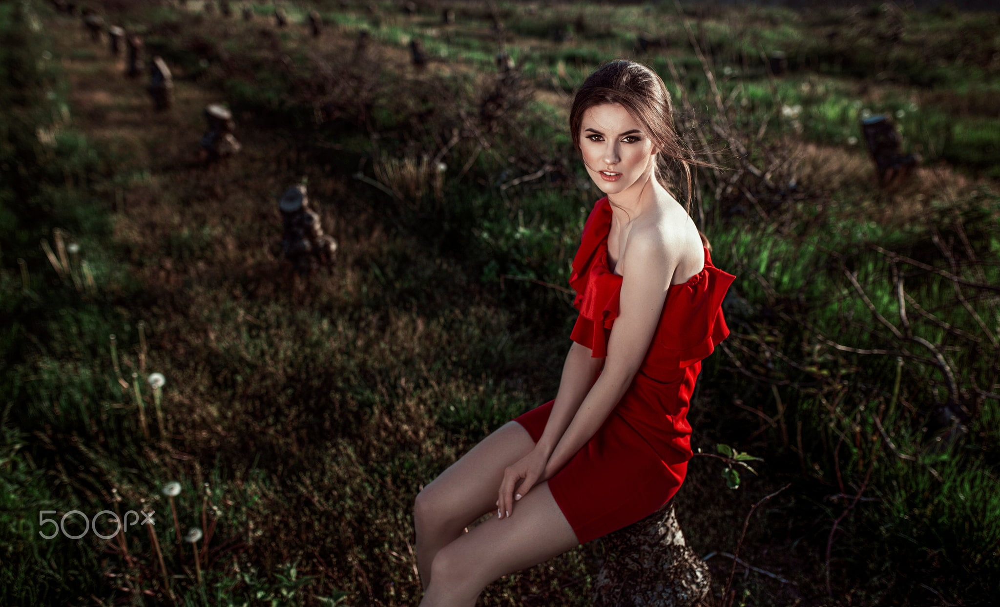 red dress, long hair, land, beautiful woman, model, dress, women, young adult, one person, smiling, red, brunette, hairstyle, plant, fashion, outdoors, HD Wallpaper