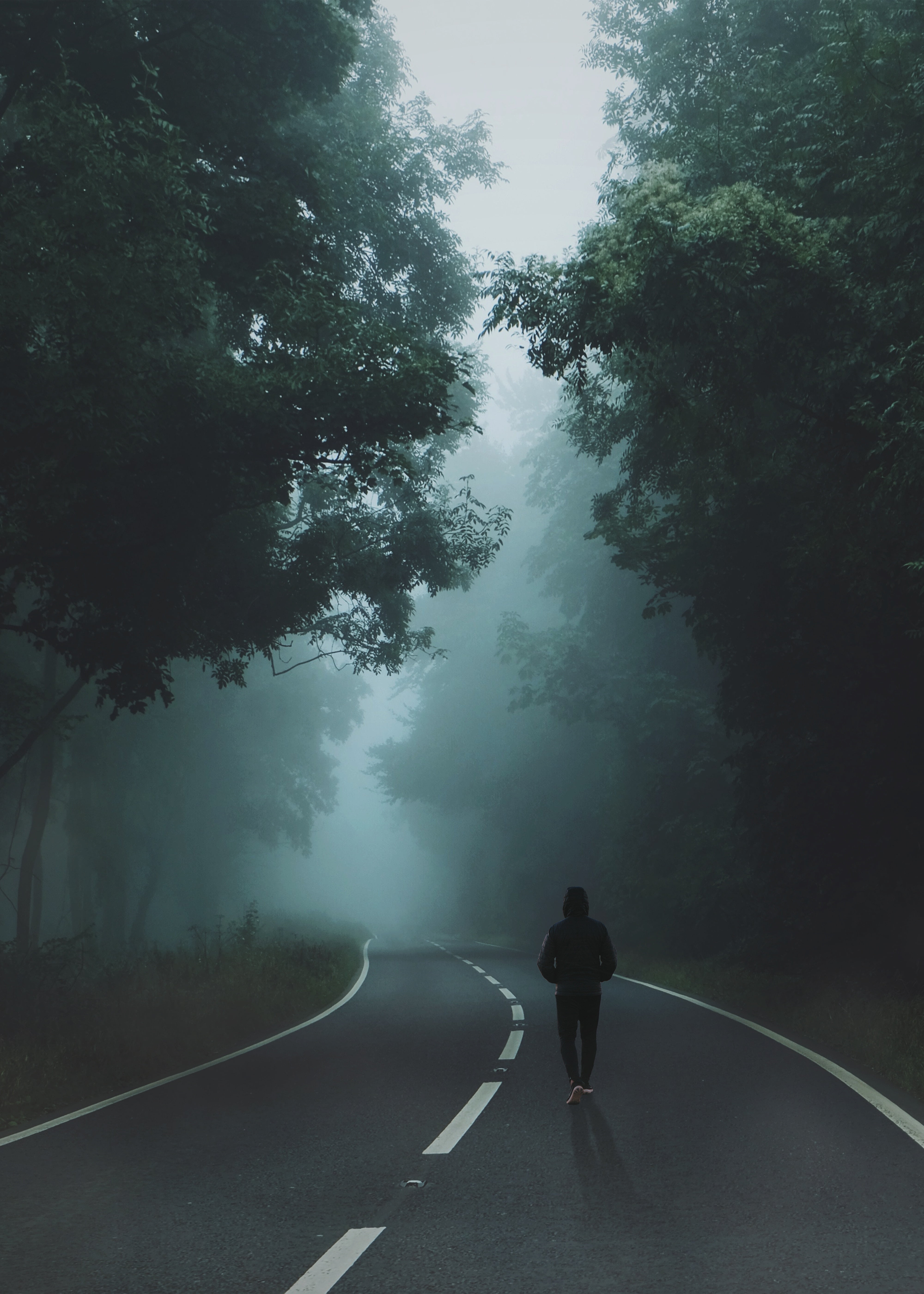 black, forest, 5K, outfit, transportation, one person, day, s, real people, outdoors, rear view, hoodie, direction, the way forward, tree, landscape, road, Phone HD Wallpaper
