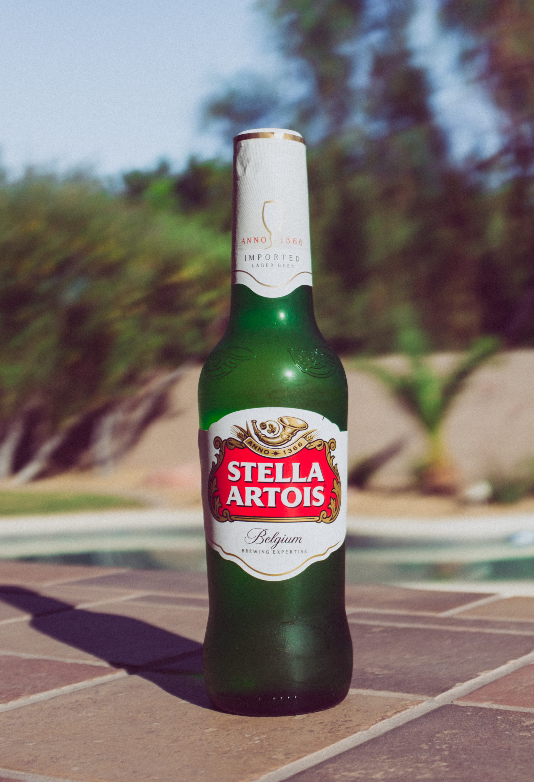 sunlight, miller, table, container, liquor store, 2K, road, beer, text, green, nature, close-up, day, outdoors, non-western script, communication, bottle, Phone HD Wallpaper