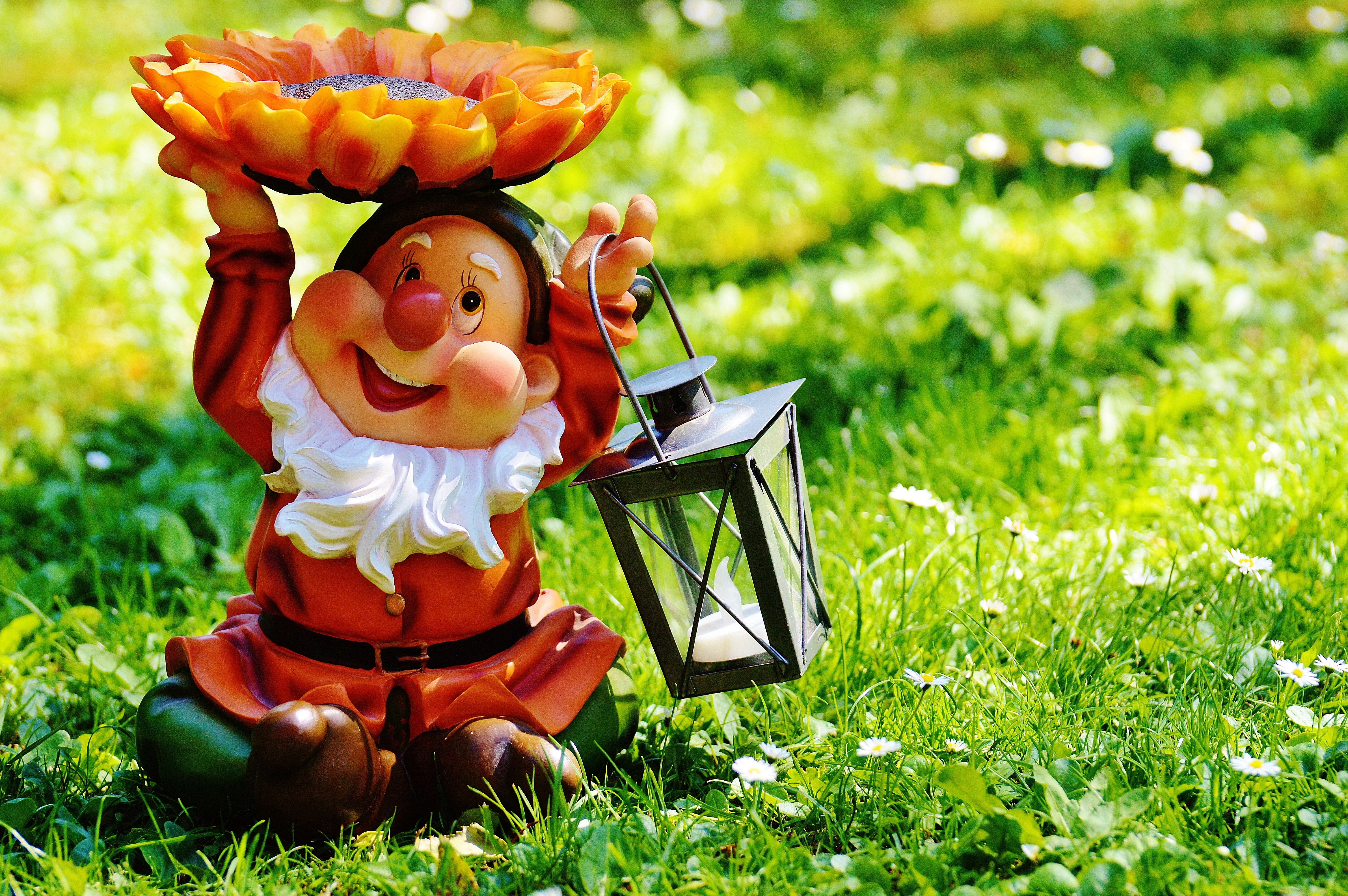 lantern, dwarf, one person, day, nature, green color, innocence, plant, clothing, orange, funny, focus on foreground, grass, sweet, land, healthy eating, HD Wallpaper