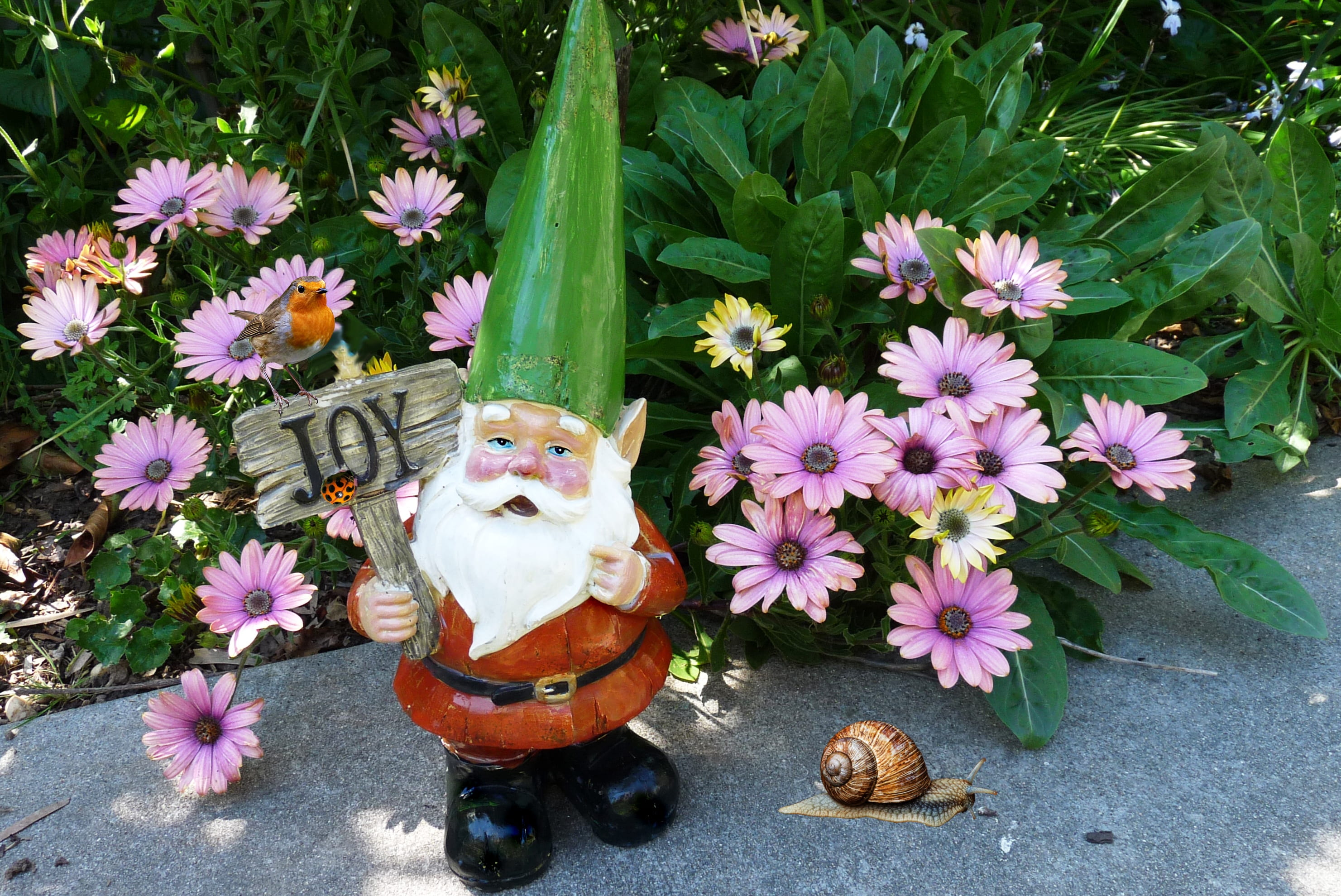 with robin, plant, vulnerability, close-up, in garden, human representation, nature, flower head, fragility, 2K, no people, gnome, outdoors, day, freshness, HD Wallpaper