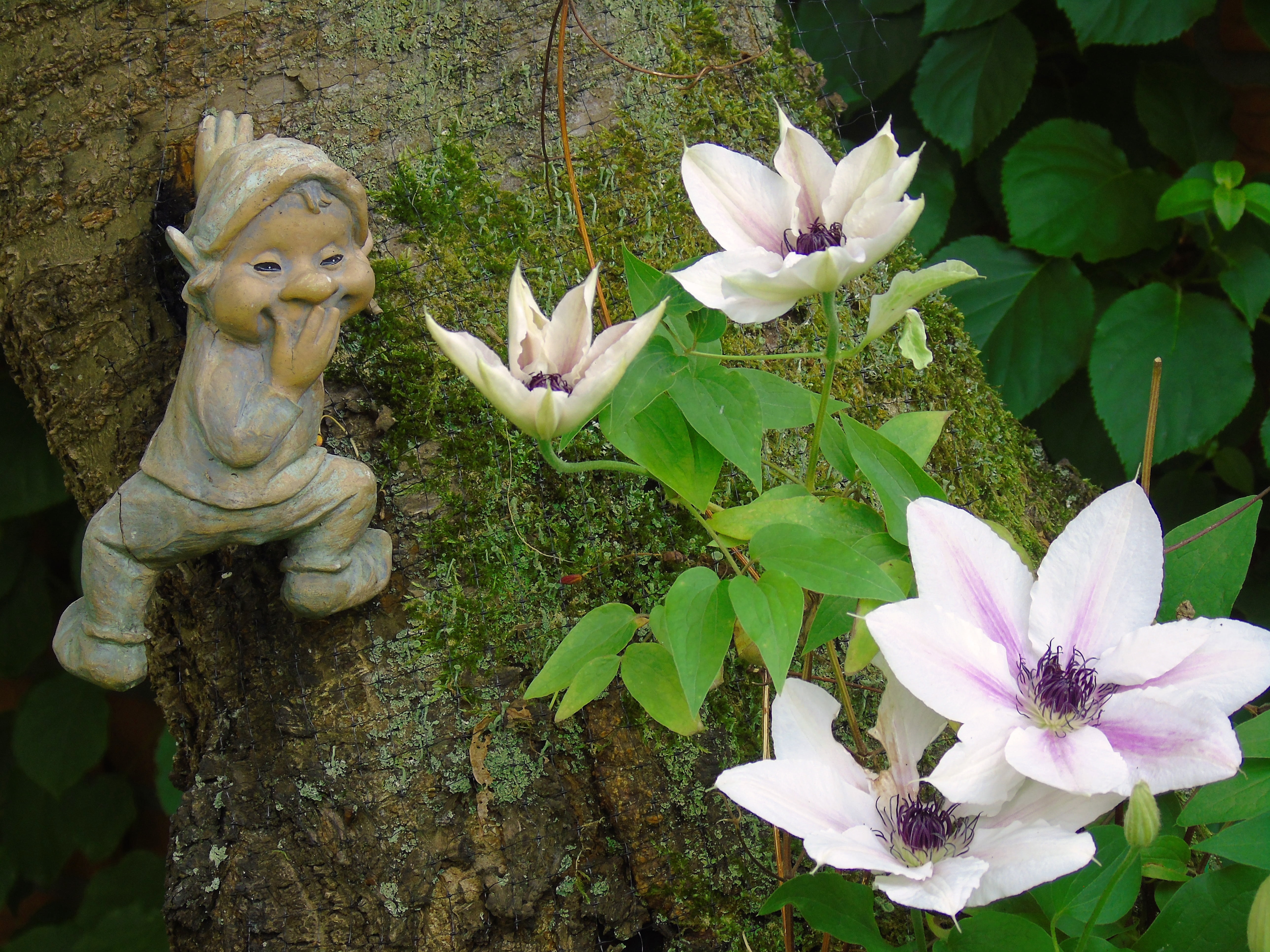 no people, petal, garden, bloom, gnome, gartendeko, vulnerability, nature, day, purple, moss, male likeness, close-up, statue, tree, art and craft, beauty in nature, HD Wallpaper