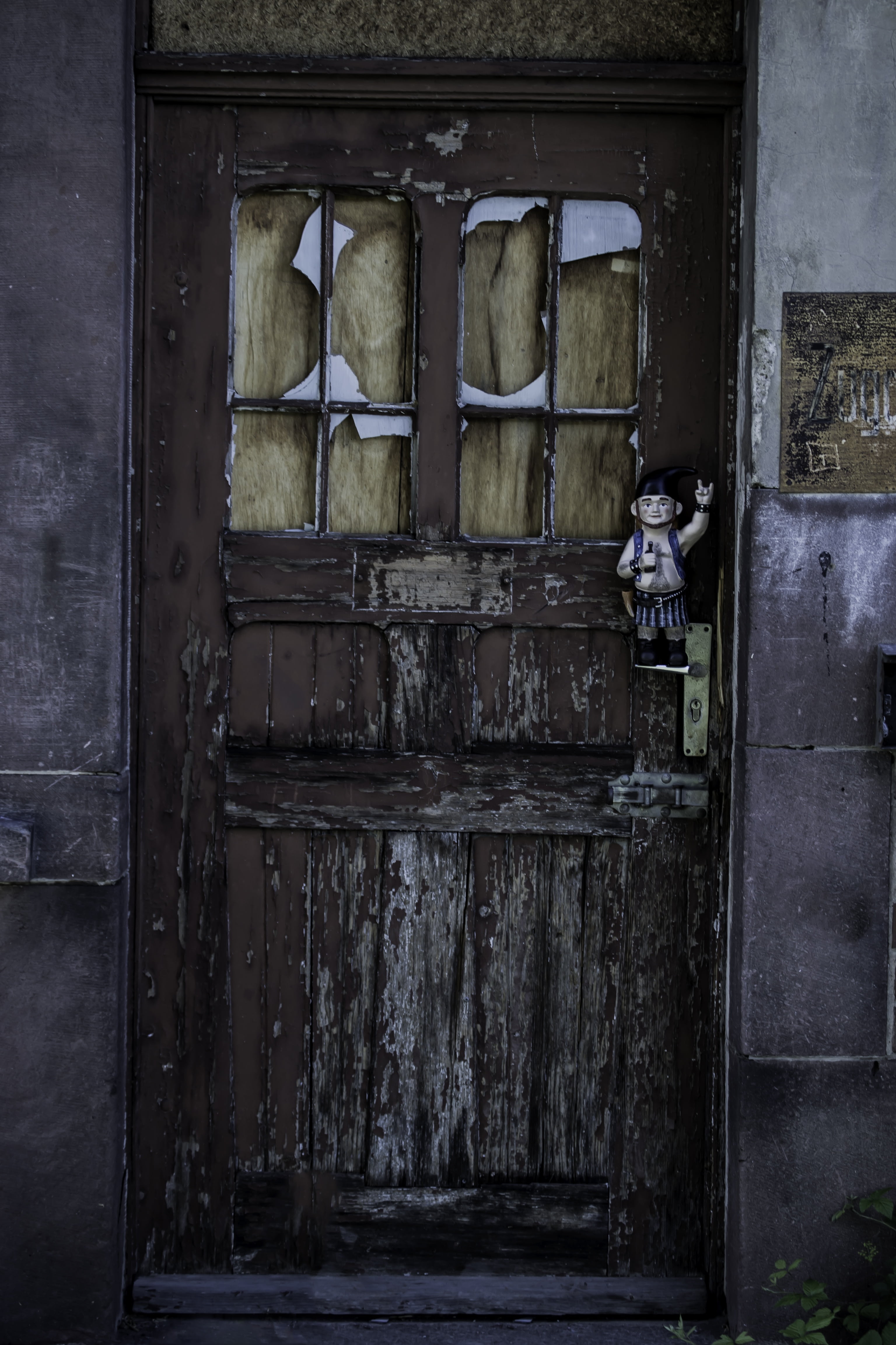 house entrance, rots, wood, wood - material, mammal, abandoned, dwarf, building, stainless, pets, door, input, old door, architecture, break up, domestic animals, Phone HD Wallpaper