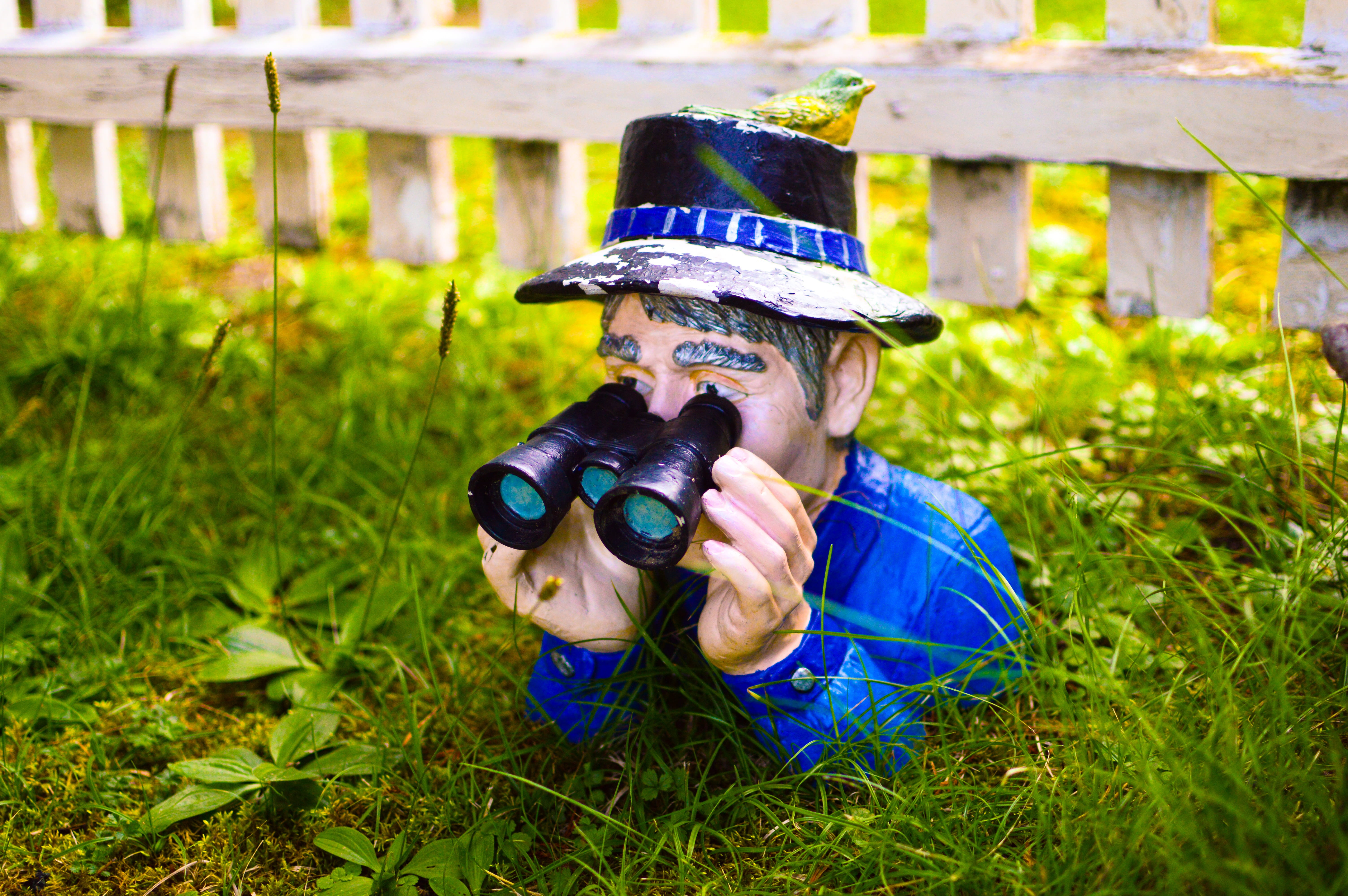 dwarf, kobold, creature, holding, land, gnome, women, looking, 5K, real people, figure, fun, hat, nature, garden figurines, binoculars, garden, garden gnome, HD Wallpaper