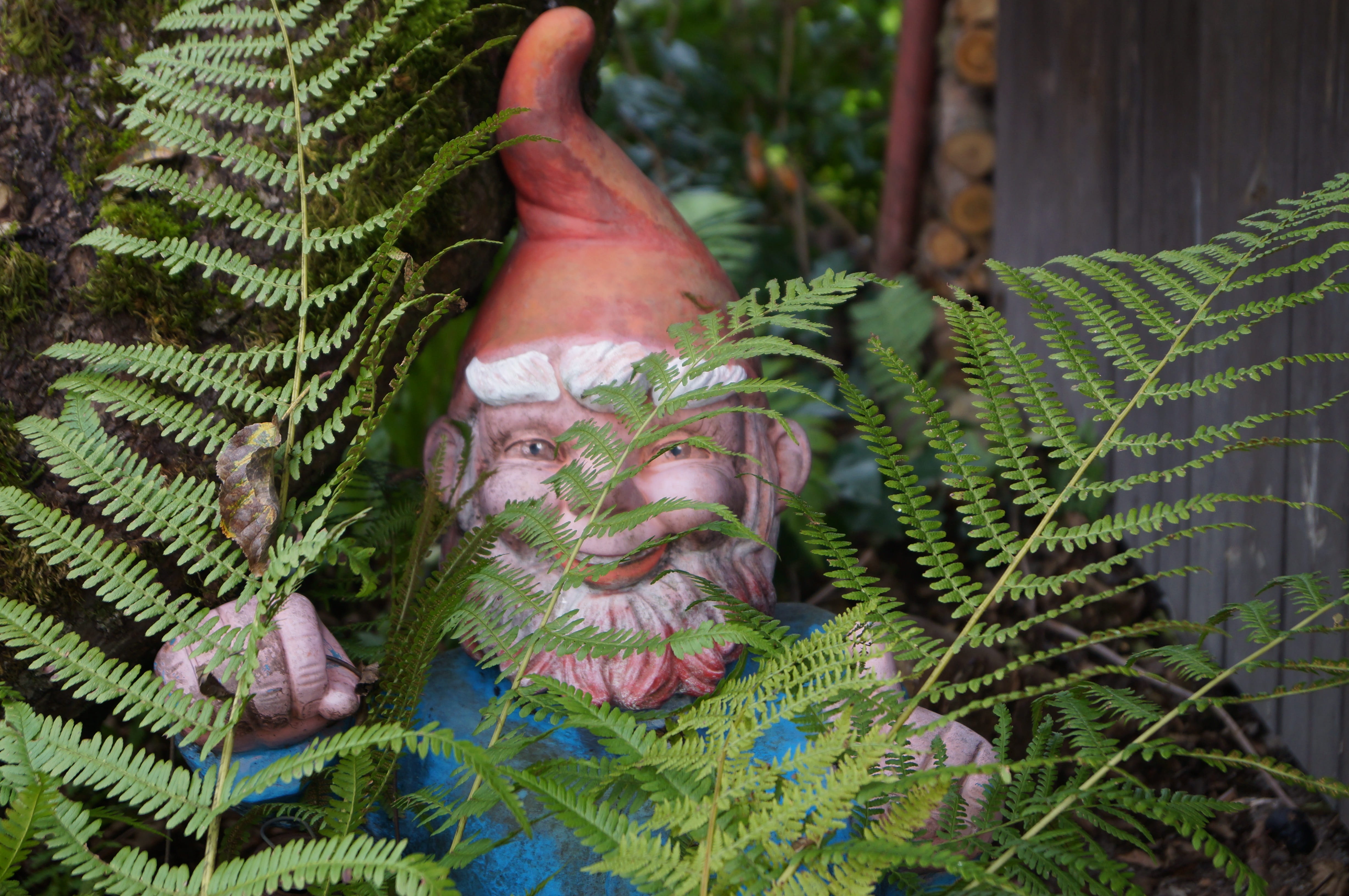 one person, outdoors, leaf, garden gnome, nature, body part, hand, tree, 4K, plant part, human body part, decoration, day, green color, finger, plant, HD Wallpaper