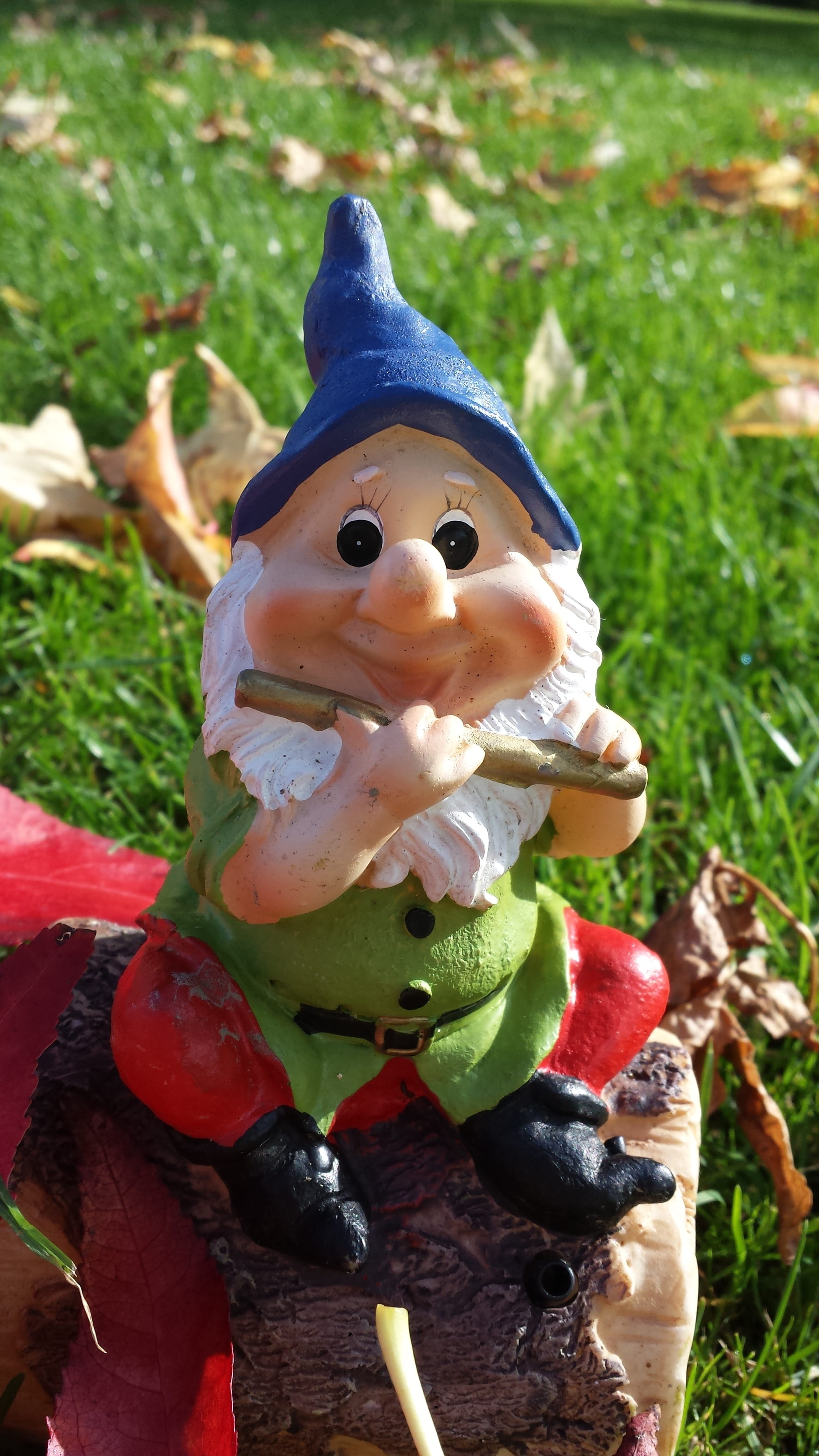 food and drink, 4K, creativity, Garden Gnome, human representation, holiday, easter, Dwarf, grass, no people, day, close-up, sculpture, plant, toy, representation, Phone HD Wallpaper