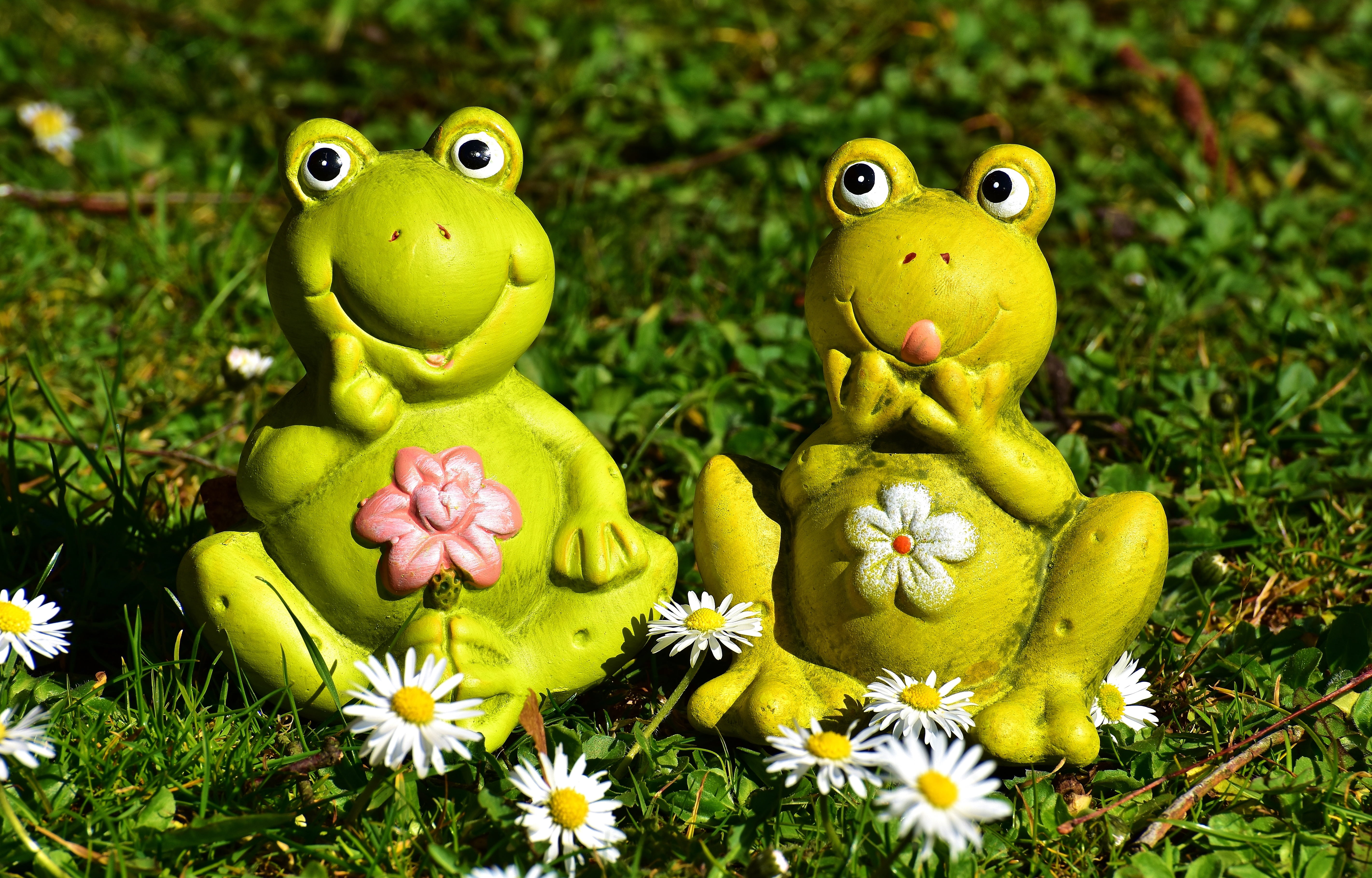 anthropomorphic face, day, figurines, yellow, meadow, 5K, petaled, creativity, nature, anthropomorphic smiley face, flowers, beauty in nature, plant, animal, HD Wallpaper