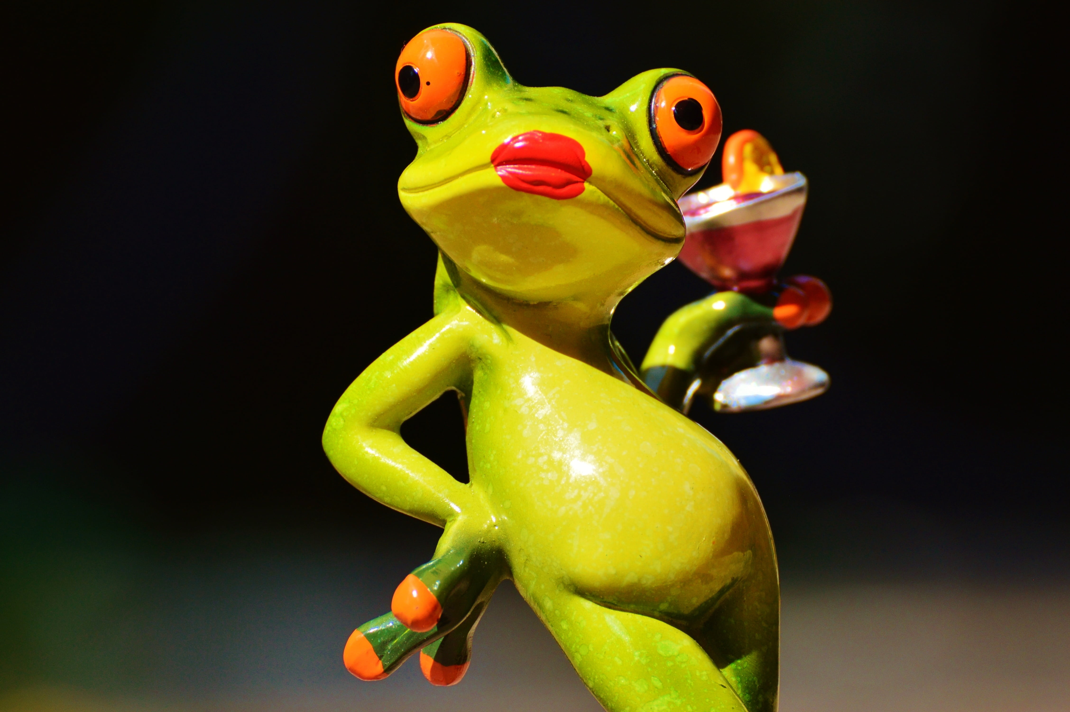 black background, vertebrate, animal, no people, 4K, frog, funny, wildlife, focus on foreground, toy, cocktail, close-up, amphibian, holding, ceramic, HD Wallpaper