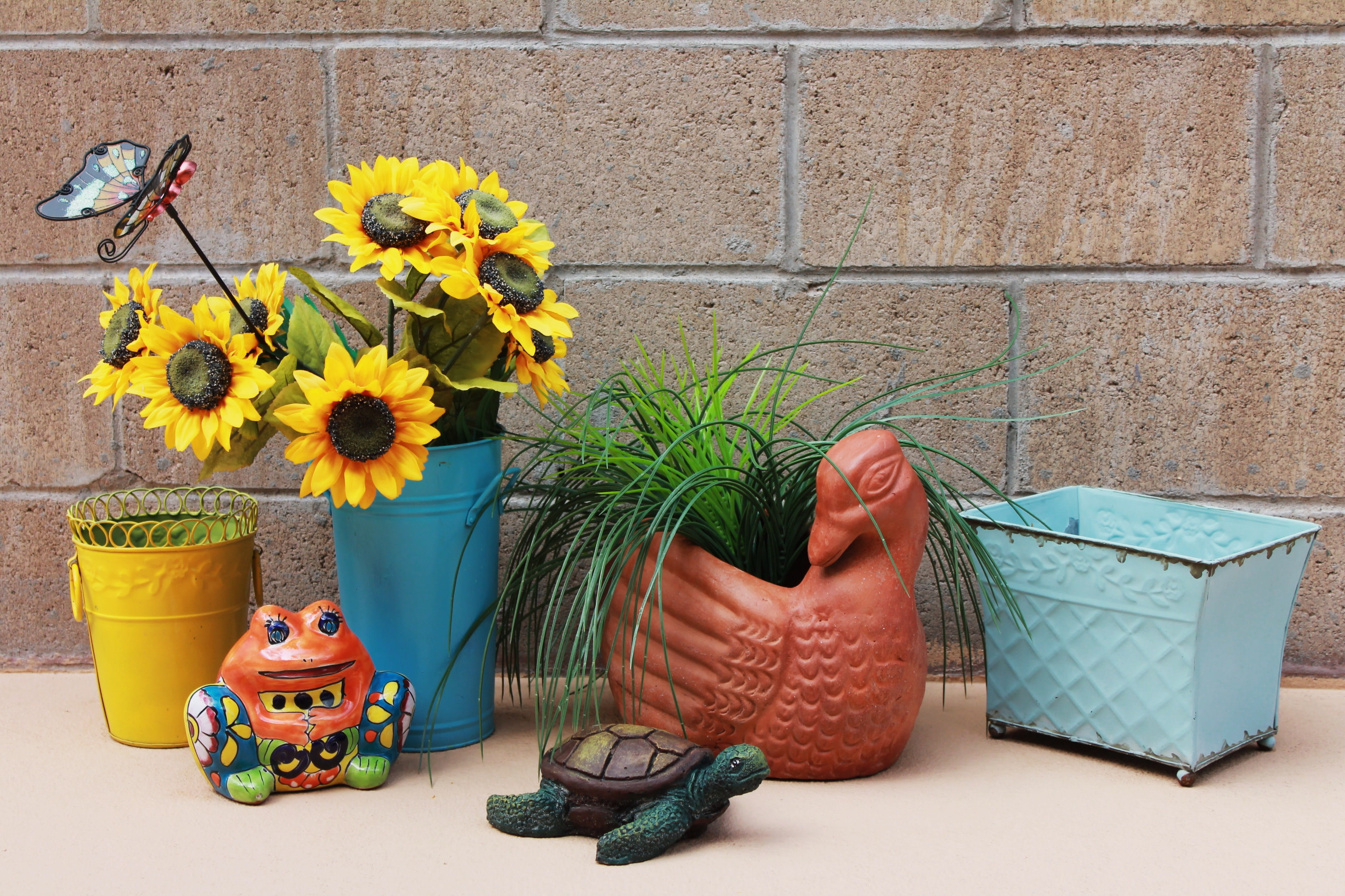 decoration, container, brick, Patio, freshness, wall - building feature, turtle, vibrant, multi colored, 4K, planter, arrangement, artful, flower head, HD Wallpaper