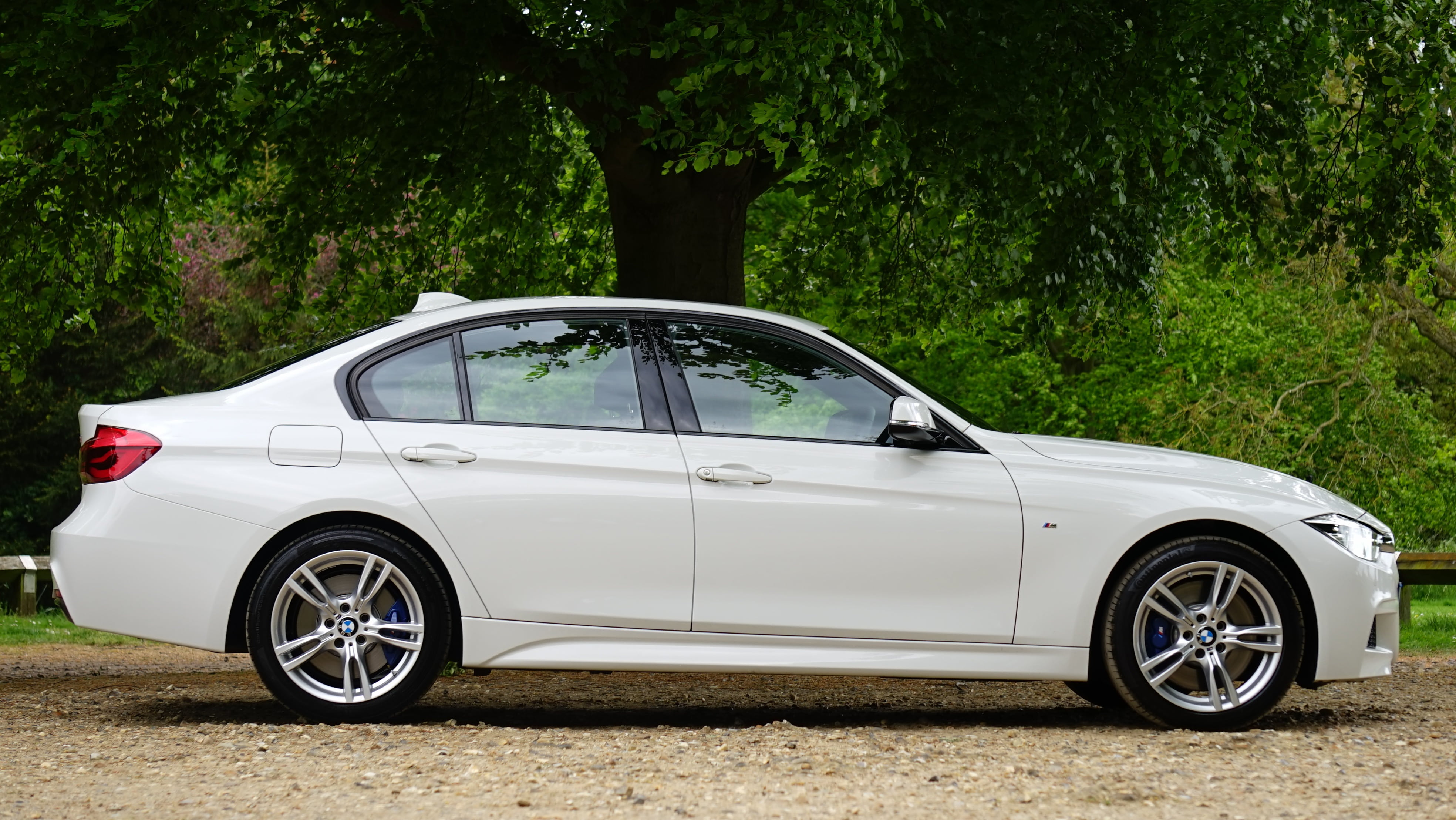tree, auto, headlamp, sedan, drive, fast, automobile, outdoors, motor, white color, luxury, plant, power, driving, day, bumper, vehicle, road trip, technology, HD Wallpaper