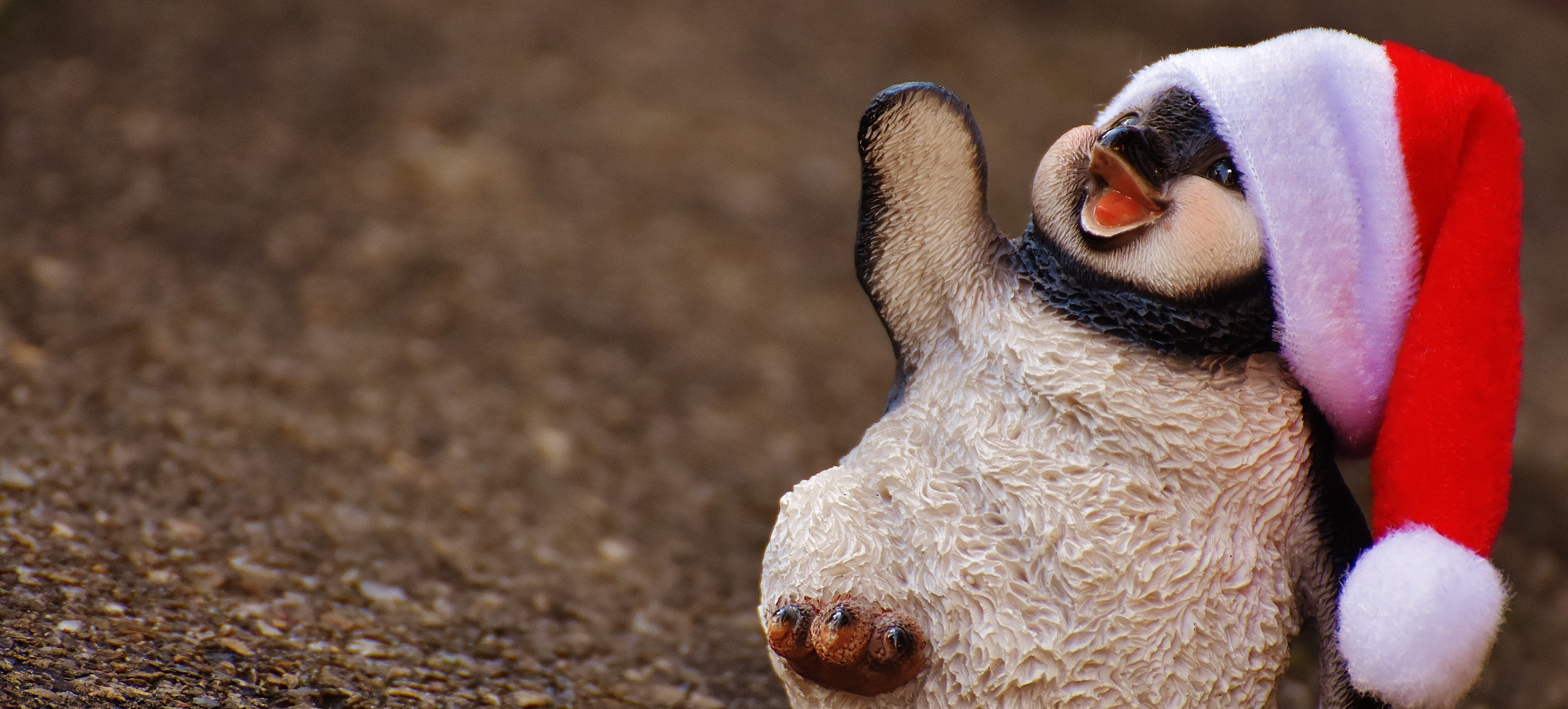 penguin, outdoors, ceramic figures, small, domestic animals, figure, day, looking, figurine, dog, animal wildlife, vertebrate, chihuahua - dog, animal head, HD Wallpaper