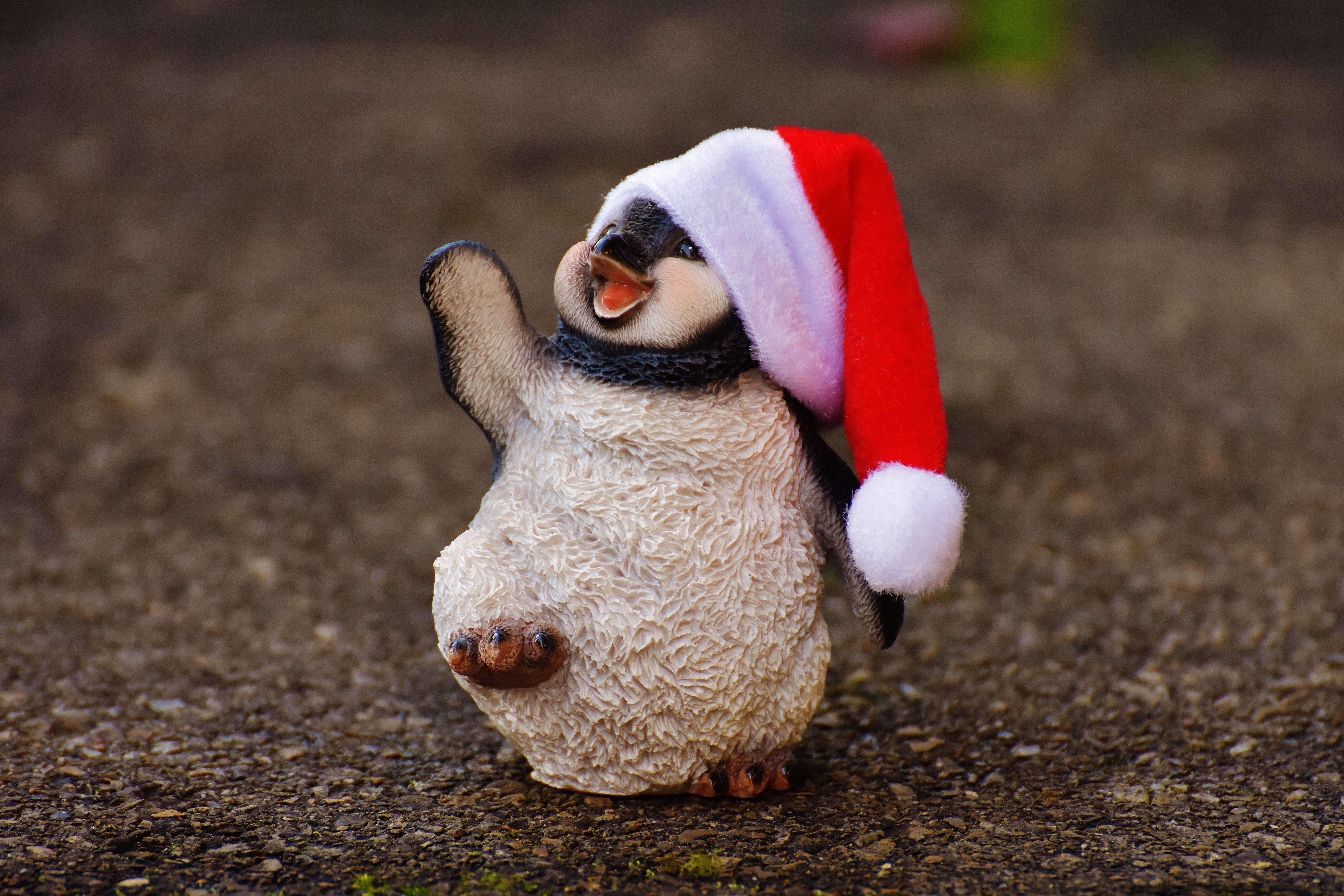 animal body part, figure, domestic, fun, decoration, ceramic figures, christmas, funny, focus on foreground, day, pet clothing, pets, close-up, penguin, HD Wallpaper