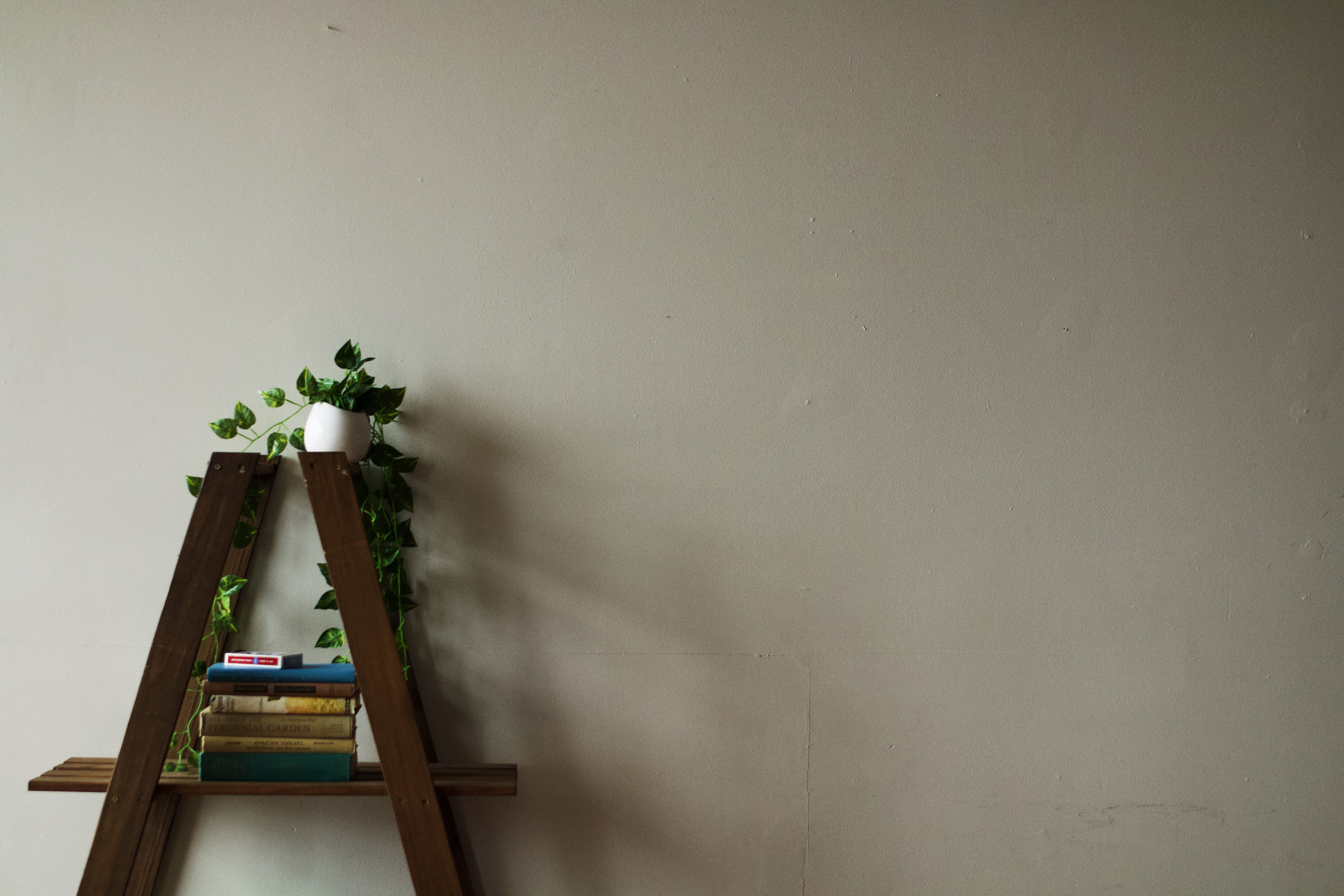 united states, table, decor, copy space, plant, room, wall - building feature, growth, beige, 5K, grow, advertisement, architecture, wood, background, HD Wallpaper
