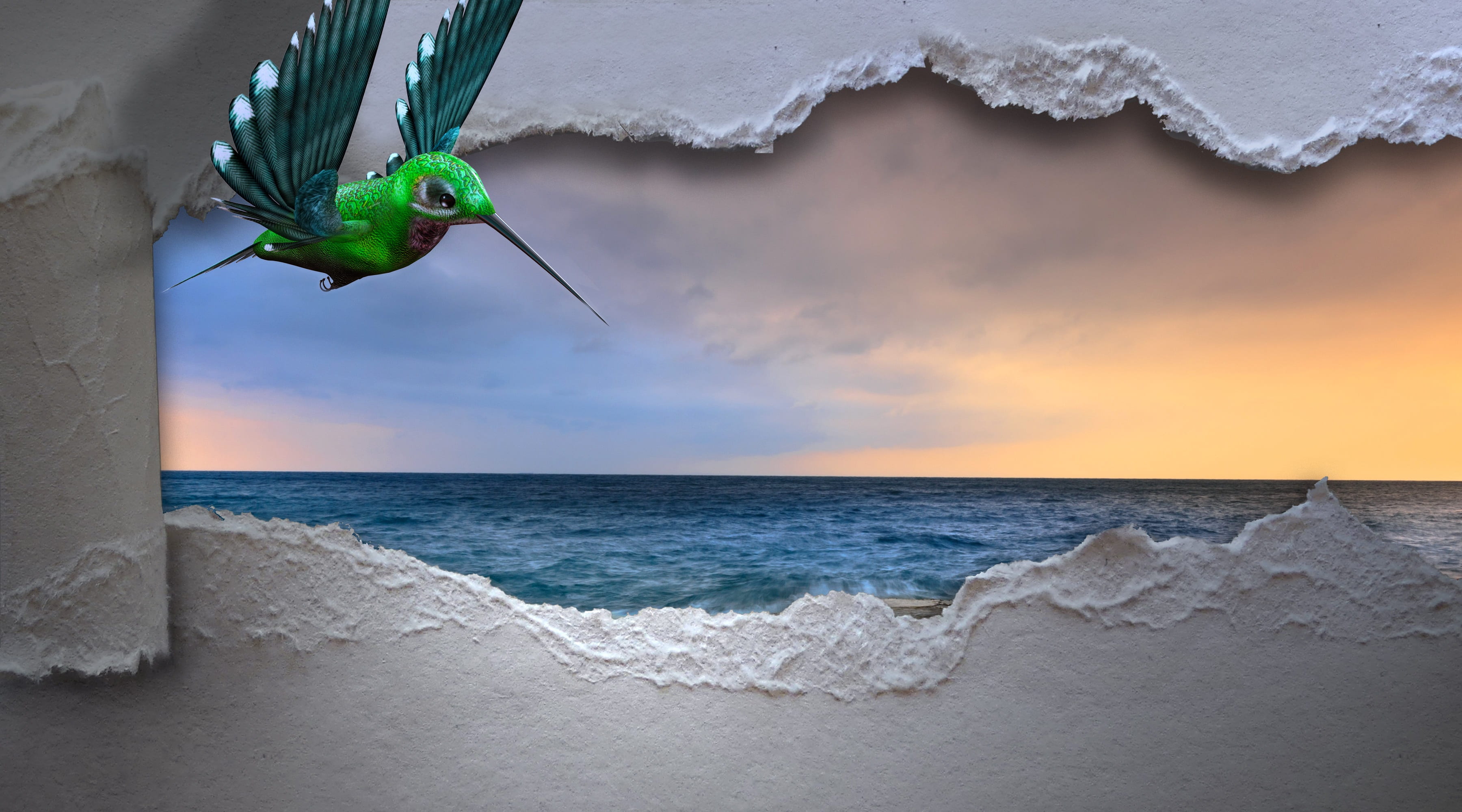 land, beach, illustration, hummigbird, sea, day, water, 2K, horizon, paper, green, cloud - sky, nature, one animal, assembly, liberation, animal, longing, HD Wallpaper