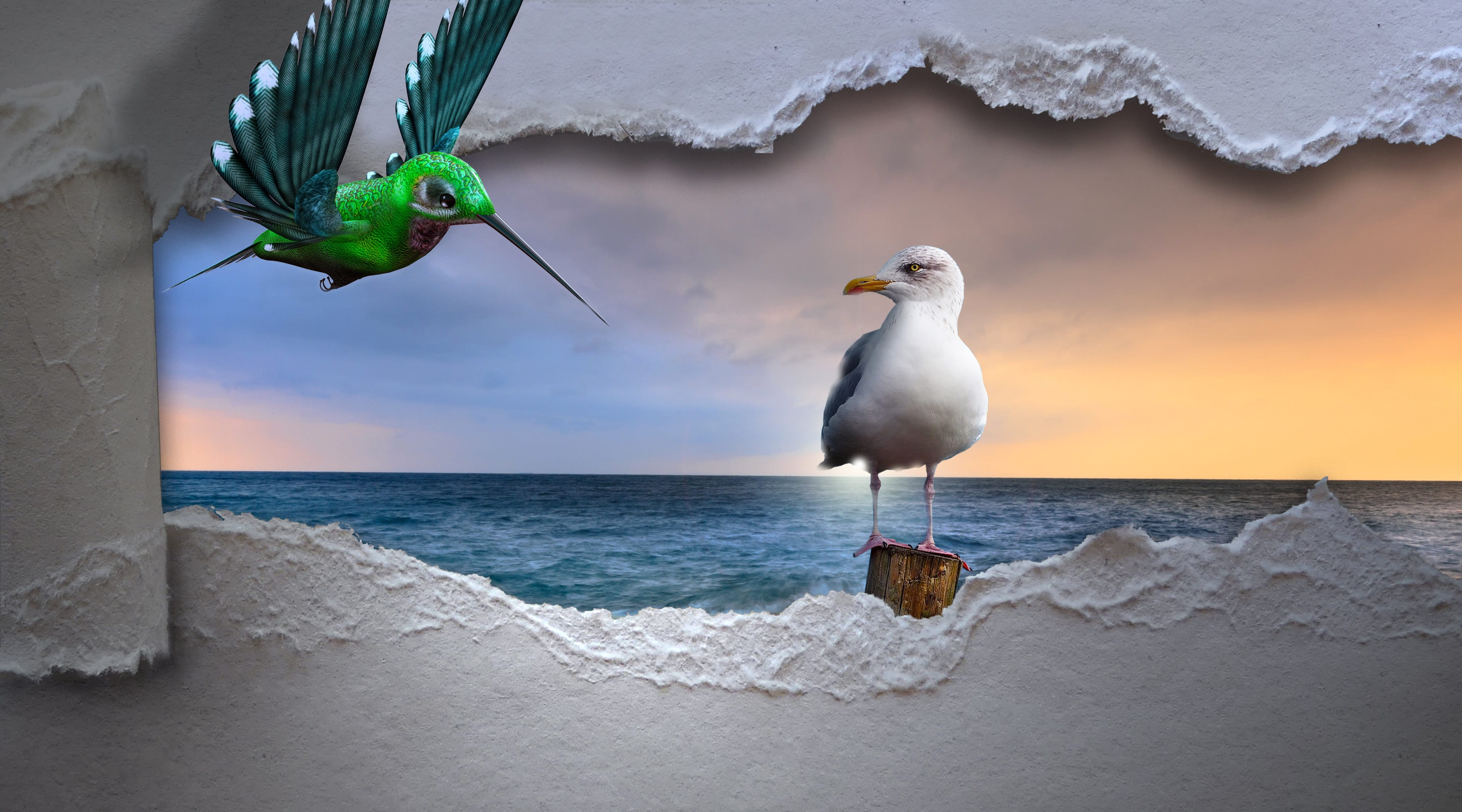 animal, animals in the wild, bird, animal themes, white, dom, water, horizon over water, one animal, breakthrough, sky, outdoors, vertebrate, day, paper, HD Wallpaper