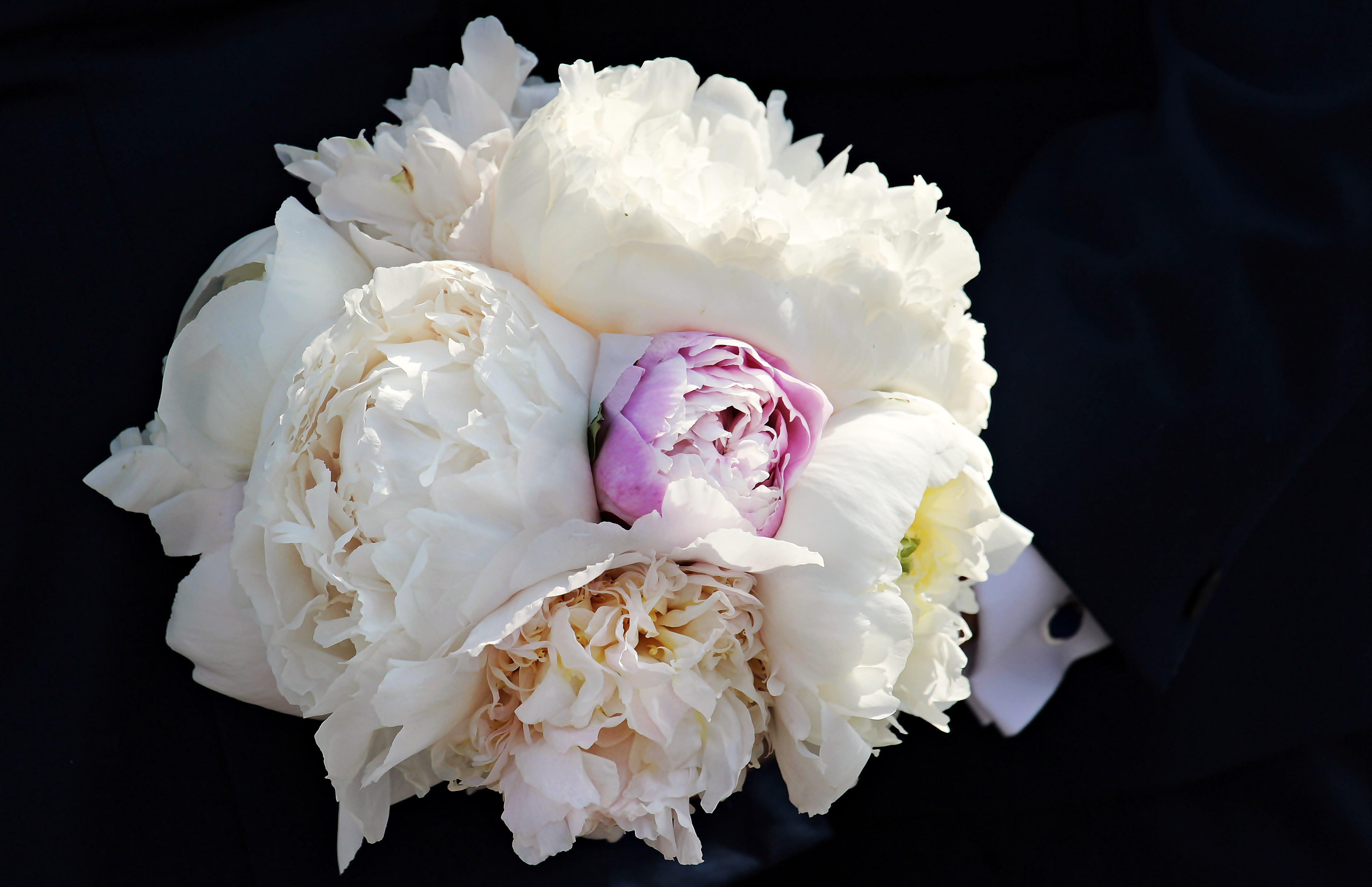 plant, peony, inflorescence, wedding bouquet, nature, romantic, flower arrangement, flower head, floristry, bloom, love, studio shot, marry, flowers, 4K, HD Wallpaper