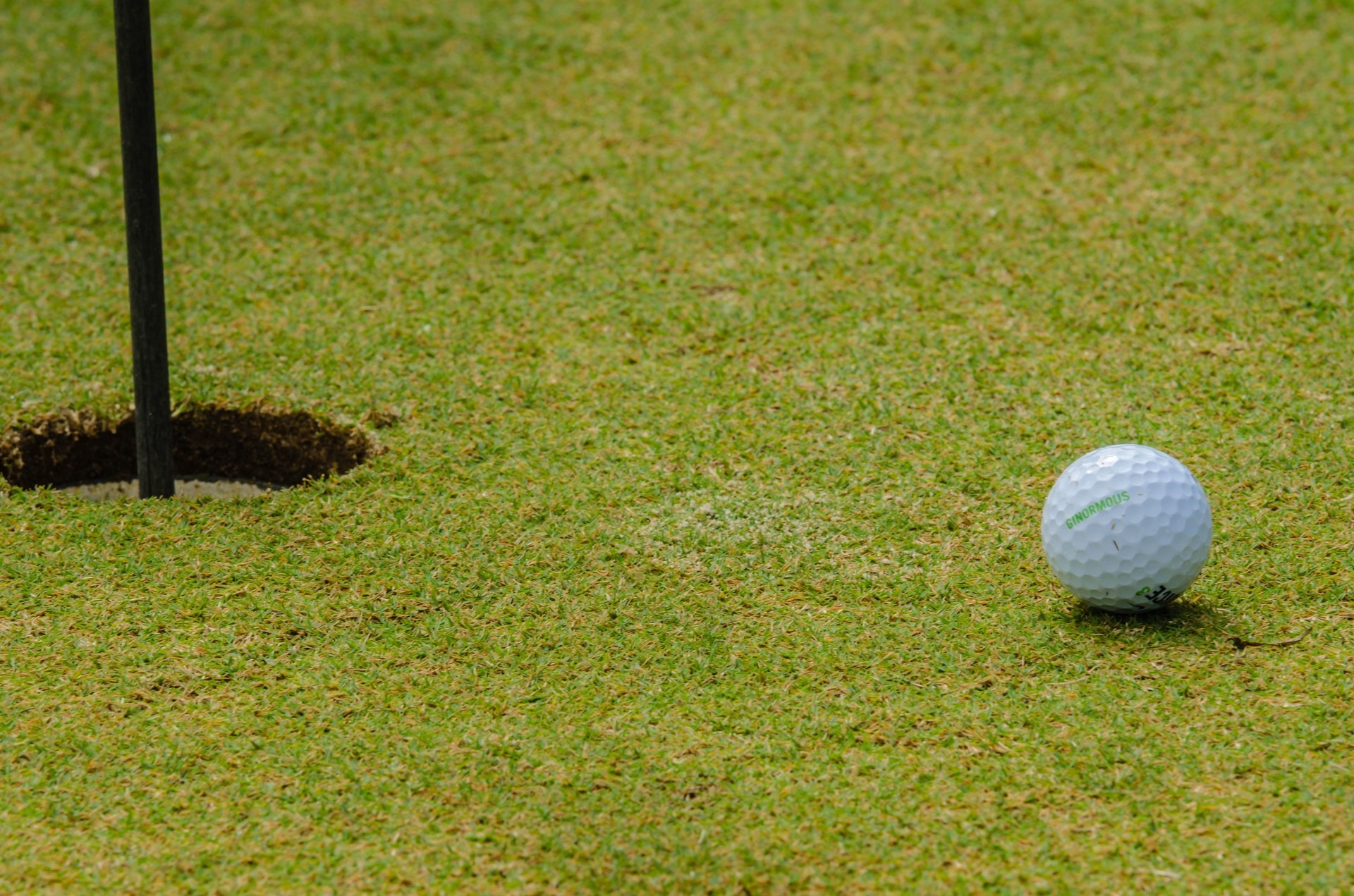 professional sport, nature, field, sport, outside, at the edge of, outdoor, active, target, leisure activity, golfer, recreation, plant, golf course, activity, HD Wallpaper