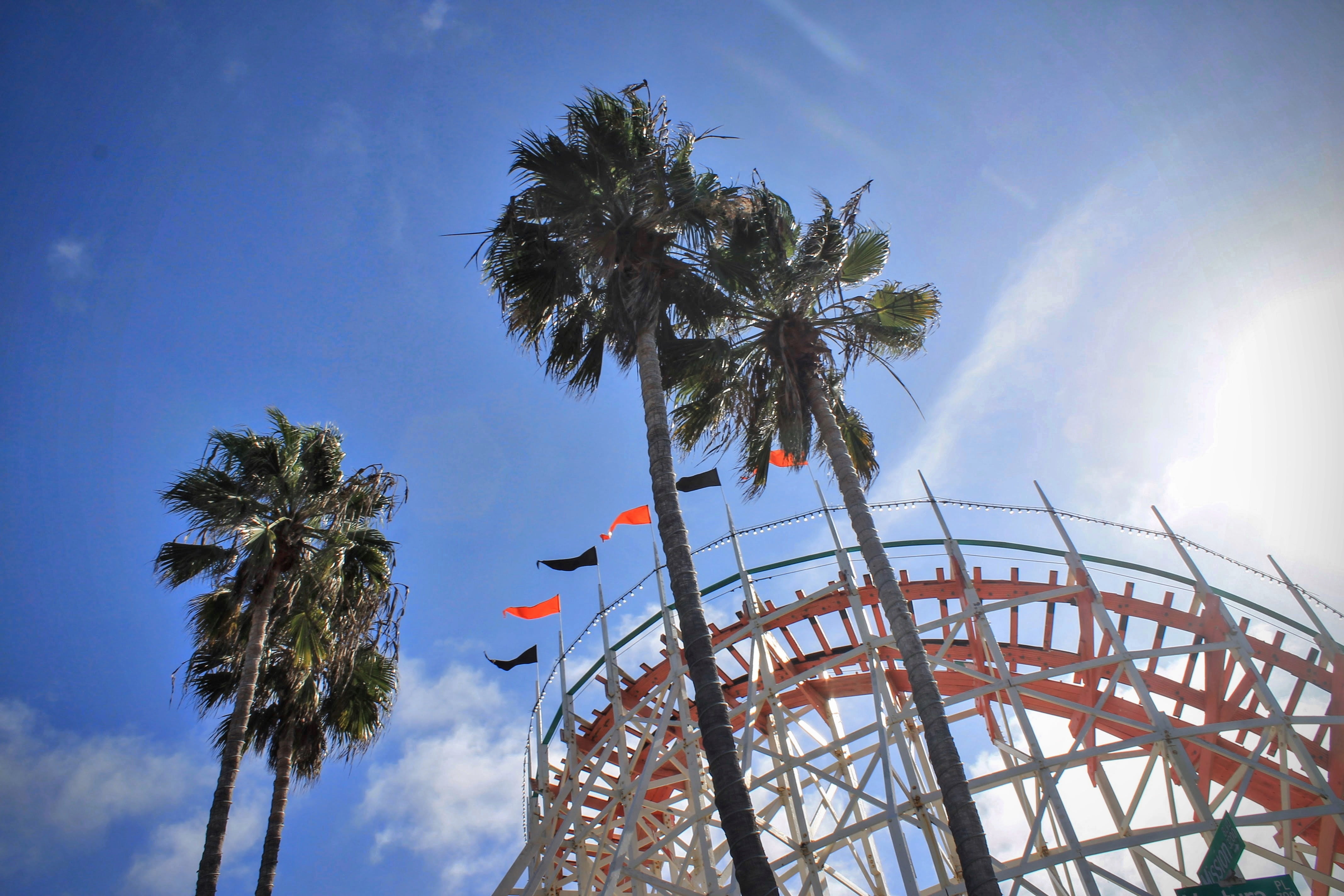 palm, traveling carnival, ferris wheel, tree, palm tree, amusement park, orange, coaster, clouds, bridge, ladder, excitement, no people, day, nature, riding, HD Wallpaper