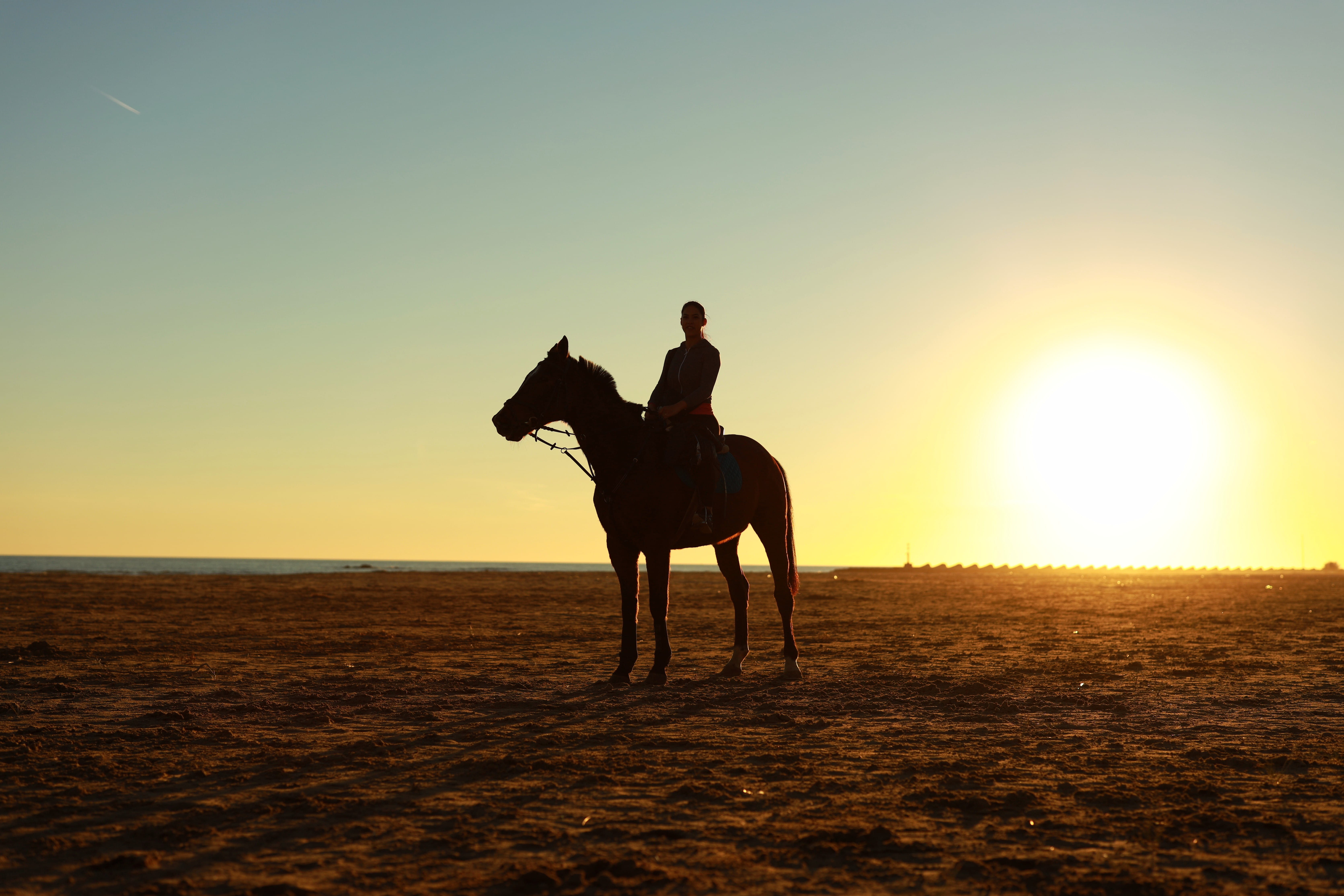 mammal, woman, activity, one animal, beach, sky, horseback riding, pets, silouette, vertebrate, 5K, land, sun, animal themes, brown, one person, horse, HD Wallpaper