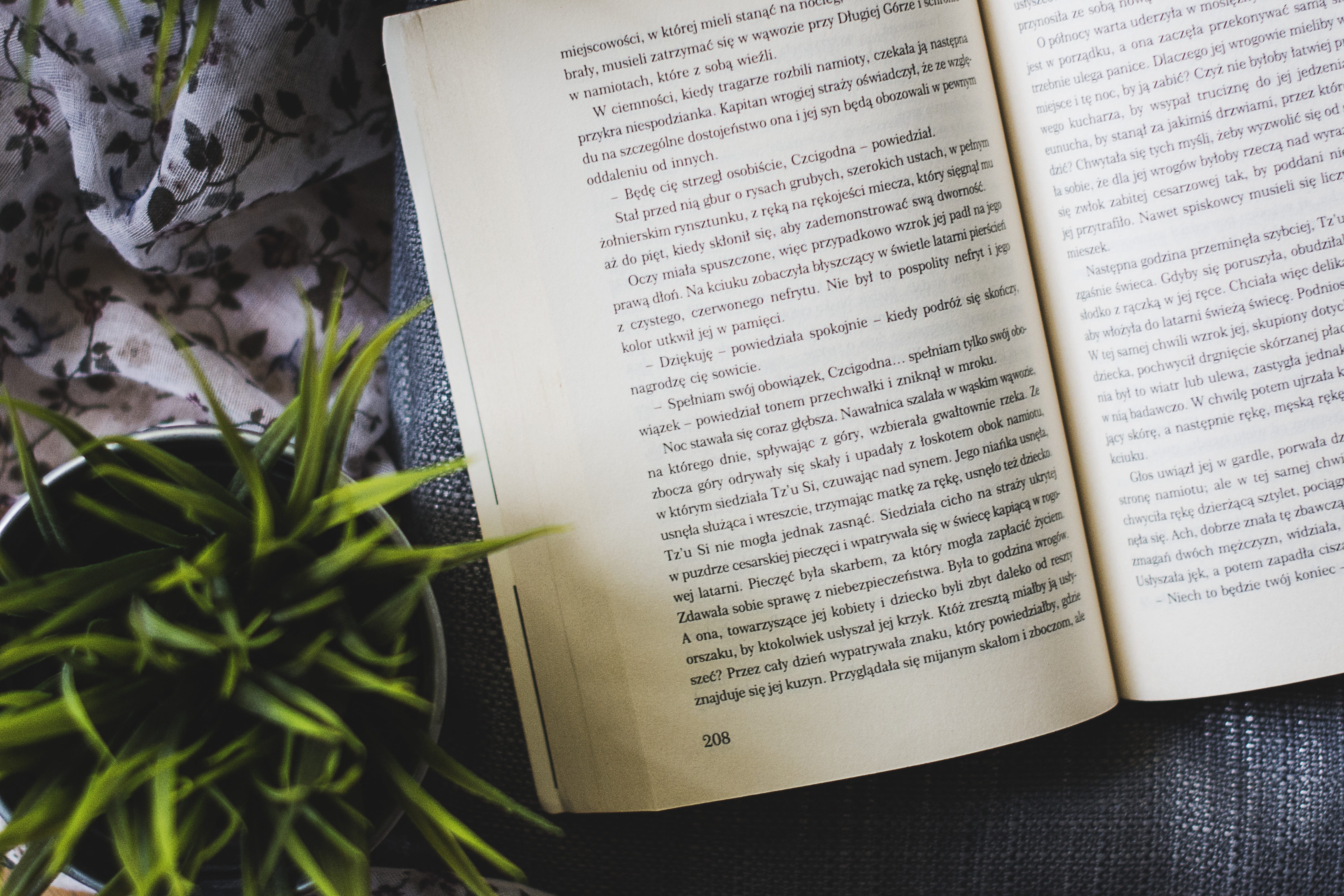 plant, paper, publication, religion, book, card, leafed, literature, the passion of the christ, nature, leaf, beside, page, wisdom, hobby, reading, spirituality, HD Wallpaper