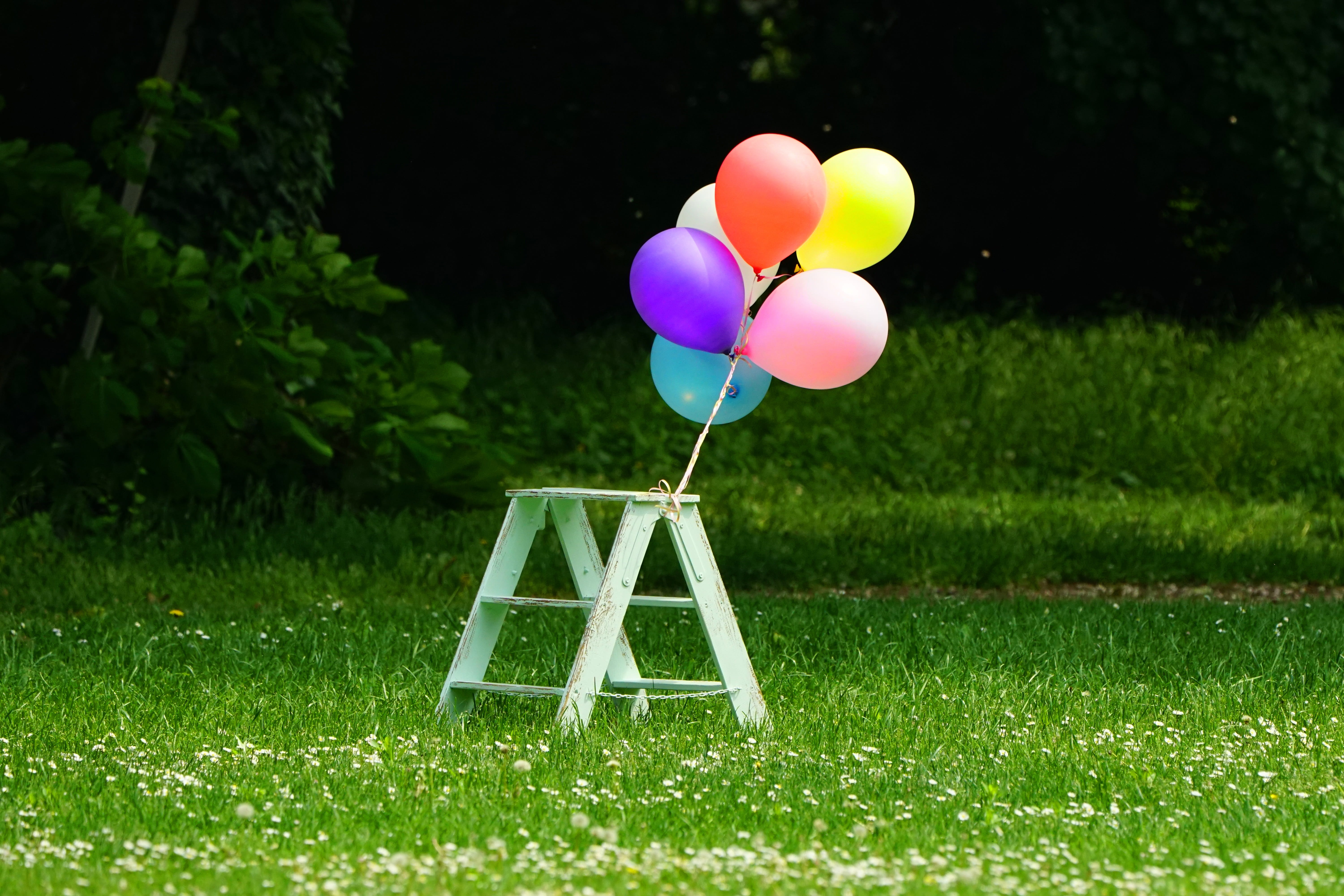 balloons, plant, park, table, helium balloon, sunlight, tied, field, balloon, day, pleasure, park - man made space, six, multi colored, summer, green color, HD Wallpaper