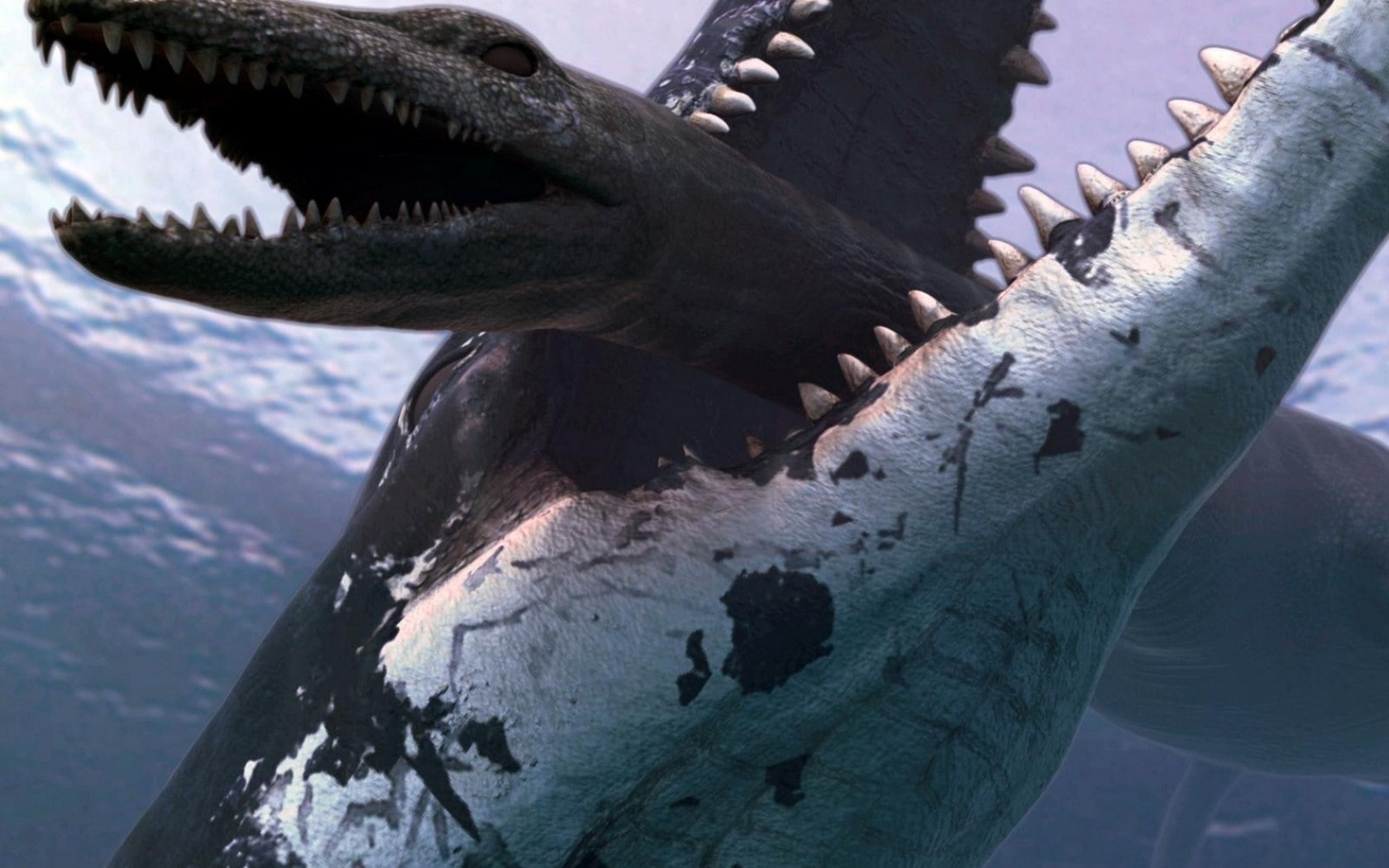 mouth open, warning sign, Pliosaurus, sea, animal mouth, vertebrate, dinosaurs, nature, one animal, fish, Liopleurodon, day, animal teeth, close-up, animals in the wild, HD Wallpaper