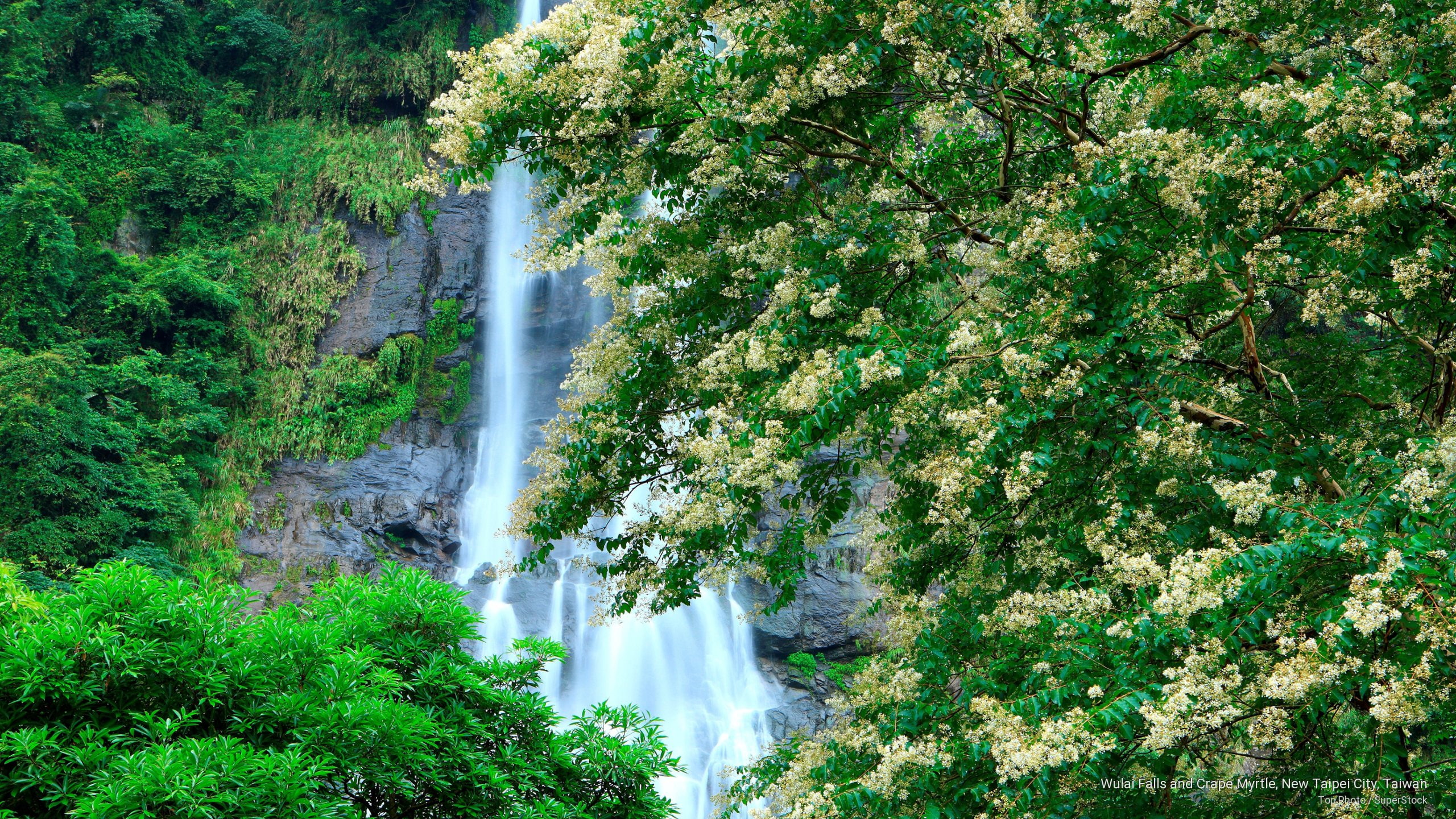 2K, Waterfalls, taipei, myrtle, taiwan, new, city, crape, falls, wulai, HD Wallpaper