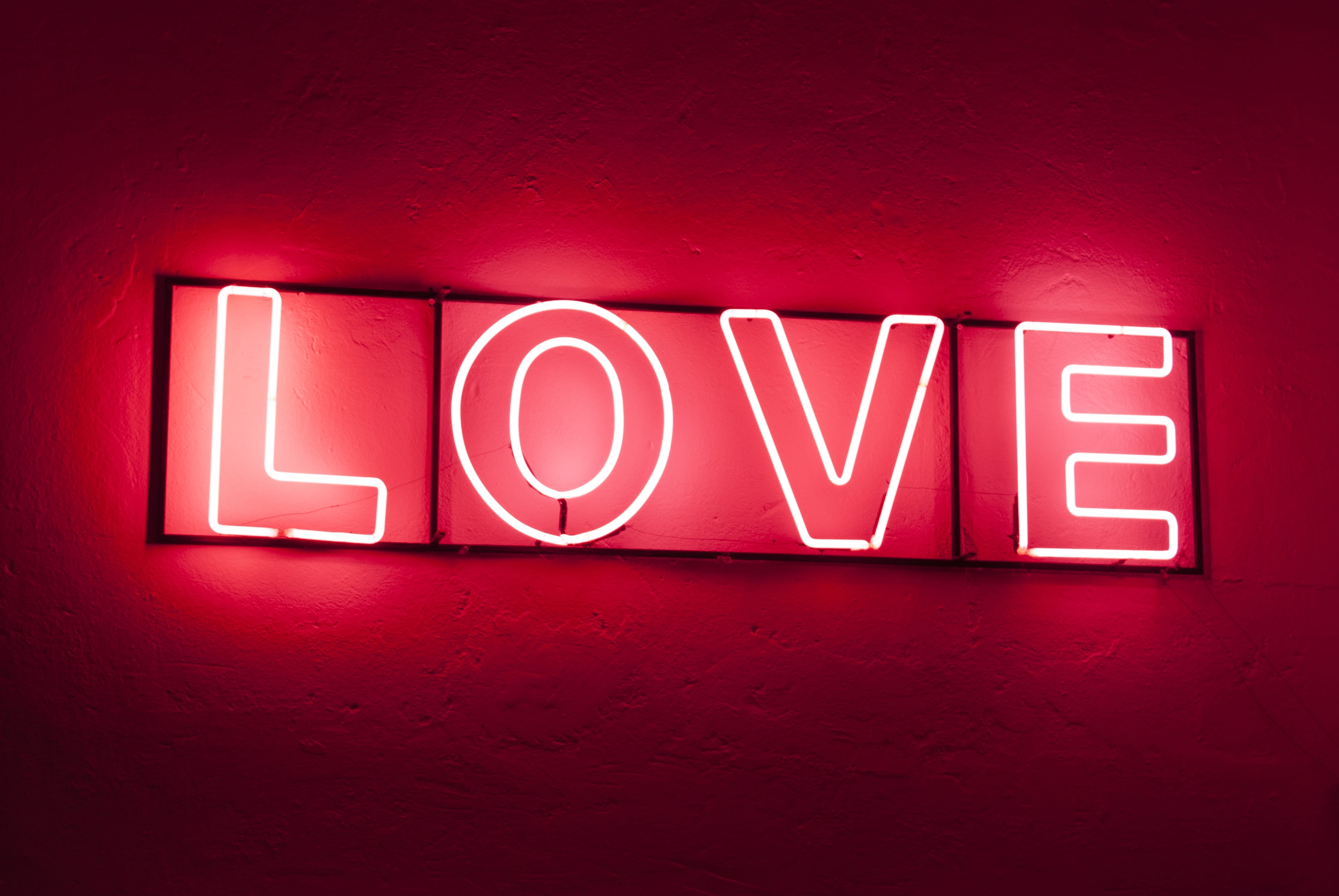 close-up, light - natural phenomenon, broadcasting, wall - building feature, romance, vibrant color, nightlife, text, single word, rosa, indoors, light, HD Wallpaper