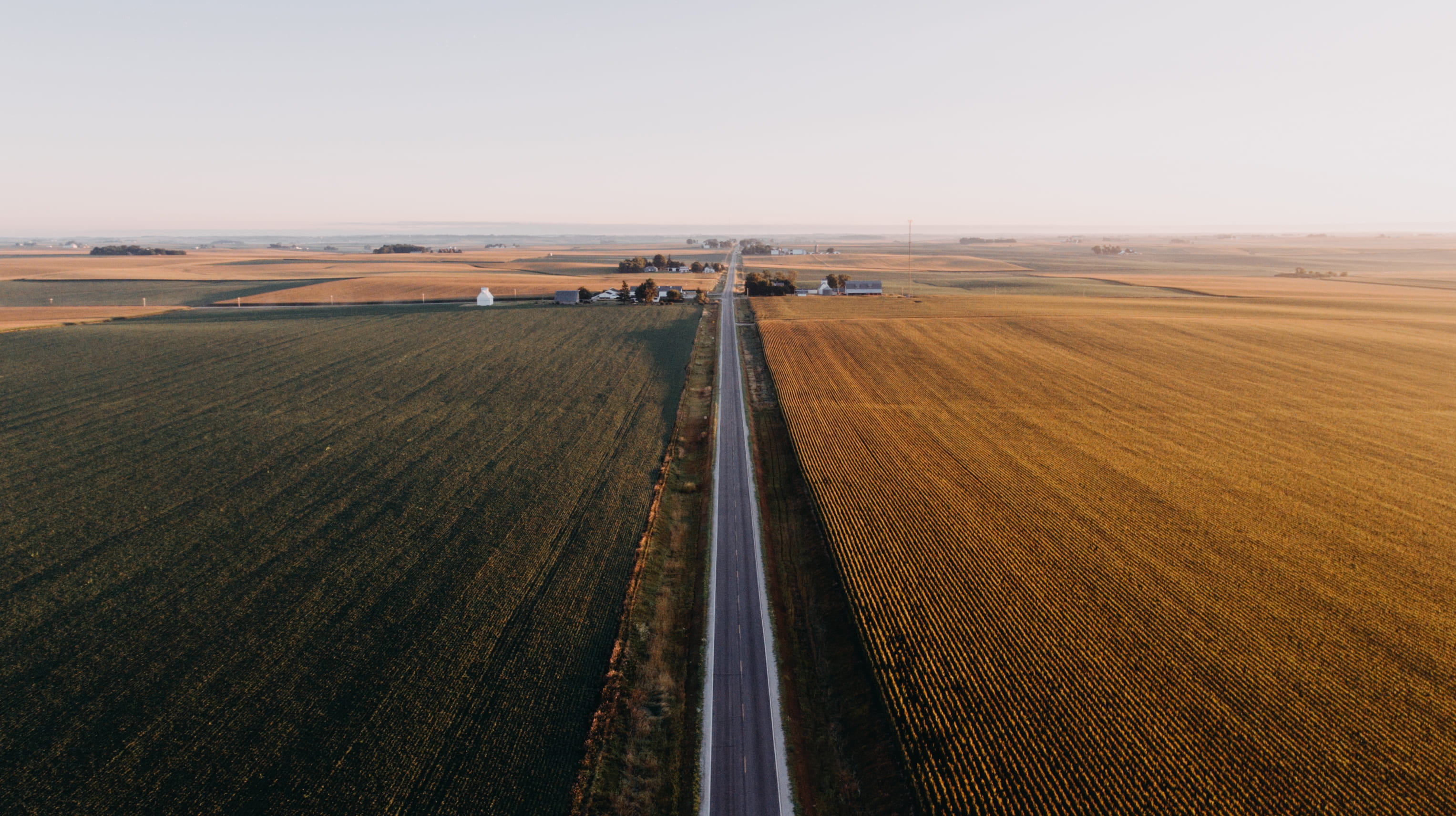 high angle view, drone image, day, long, morning, morning light, farm, horizon over land, 2K, crops, outdoors, cereal plant, sky, scenics - nature, no people, HD Wallpaper