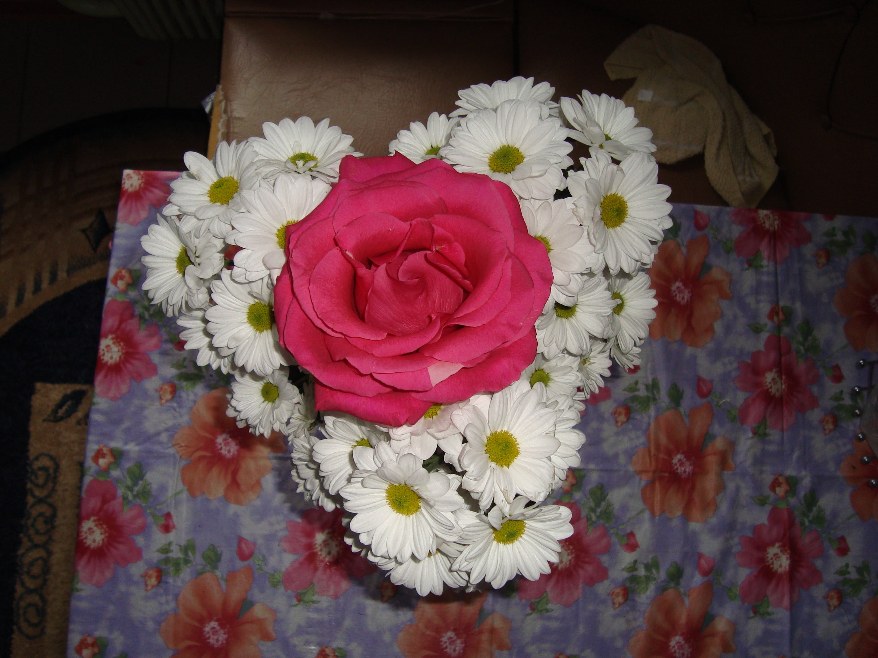rose, amenities, 2K, romance, chrysanthemum, HD Wallpaper