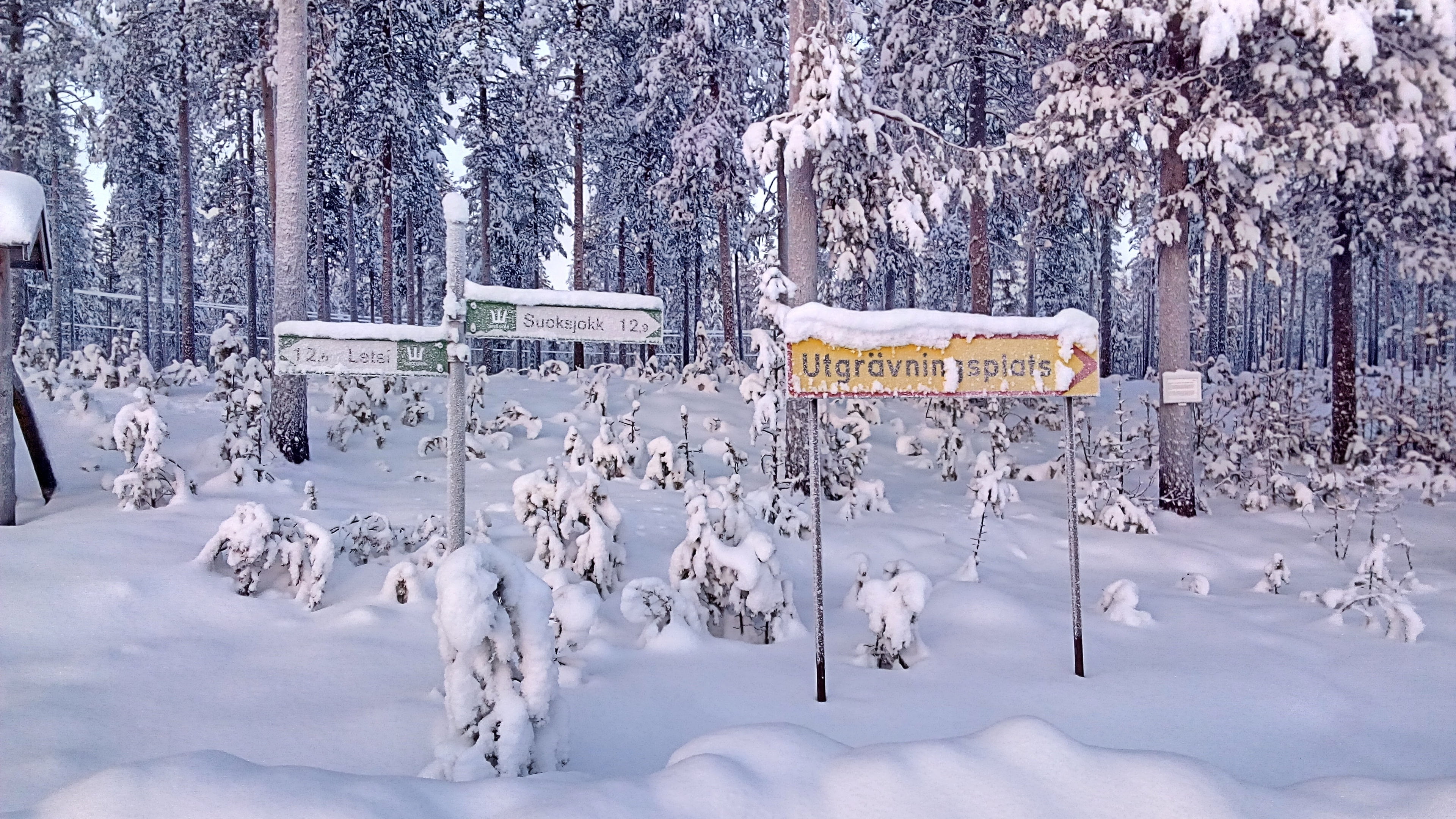 beauty in nature, lapland, day, pine tree, snowing, blizzard, sign, scenics - nature, plant, environment, winter, landscape, wintry, snowy, tranquility, HD Wallpaper