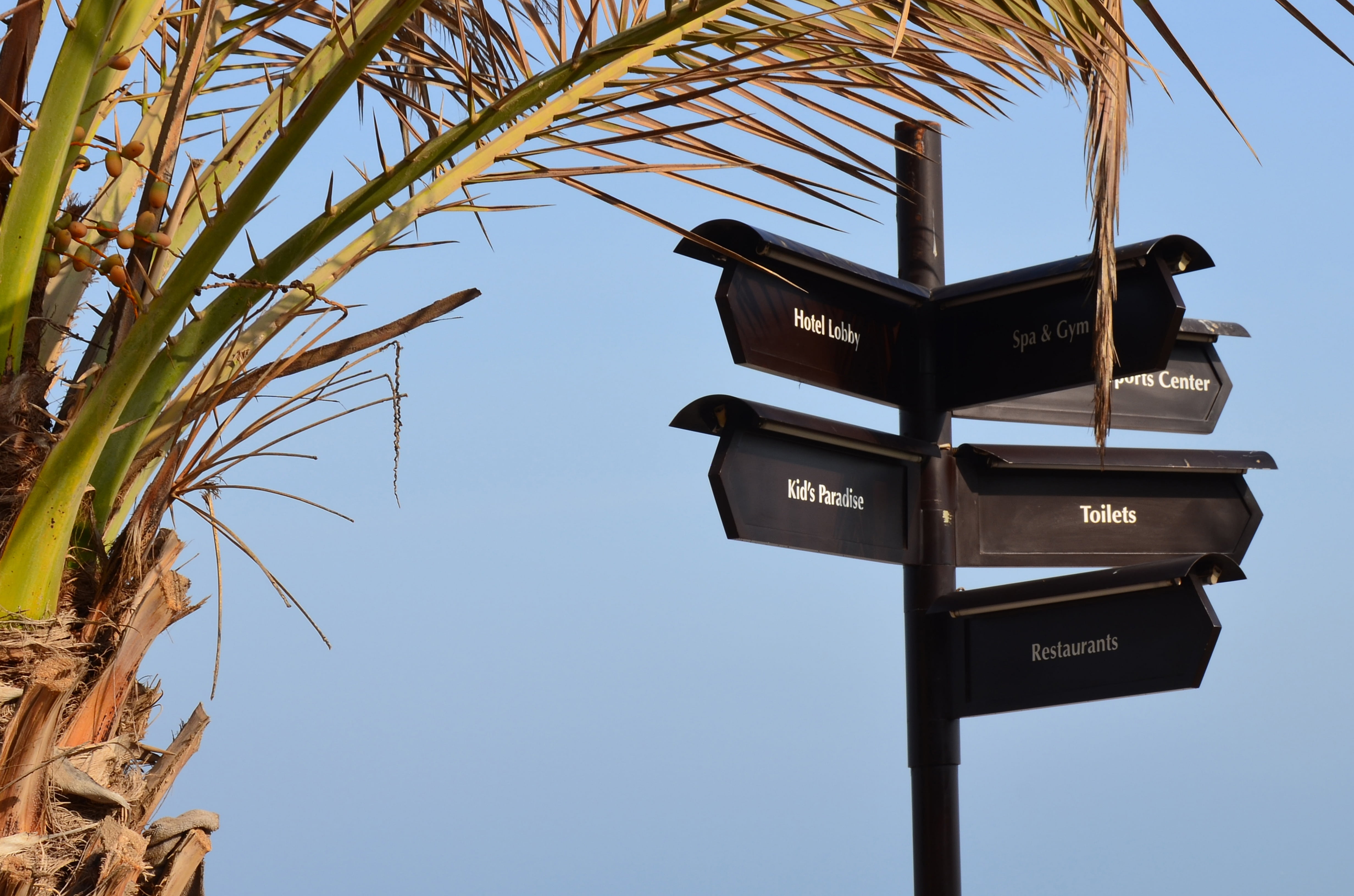 arrow symbol, signs, nature, blue, text, clear sky, roof, outdoors, 4K, signpost, beach, tropical climate, plant, direction, communication, day, sign, HD Wallpaper