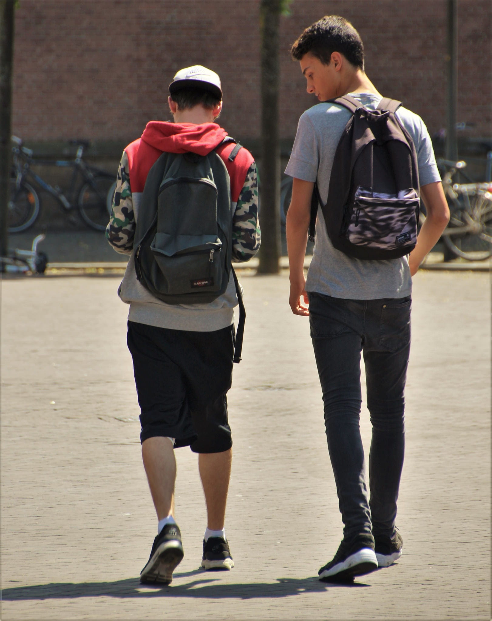 young adult, pokemon, boy, internet, pokemon go, day, hand, cellphone, backpack, rear view, walking, young, focus on foreground, mobile, friendship, looking, Phone HD Wallpaper