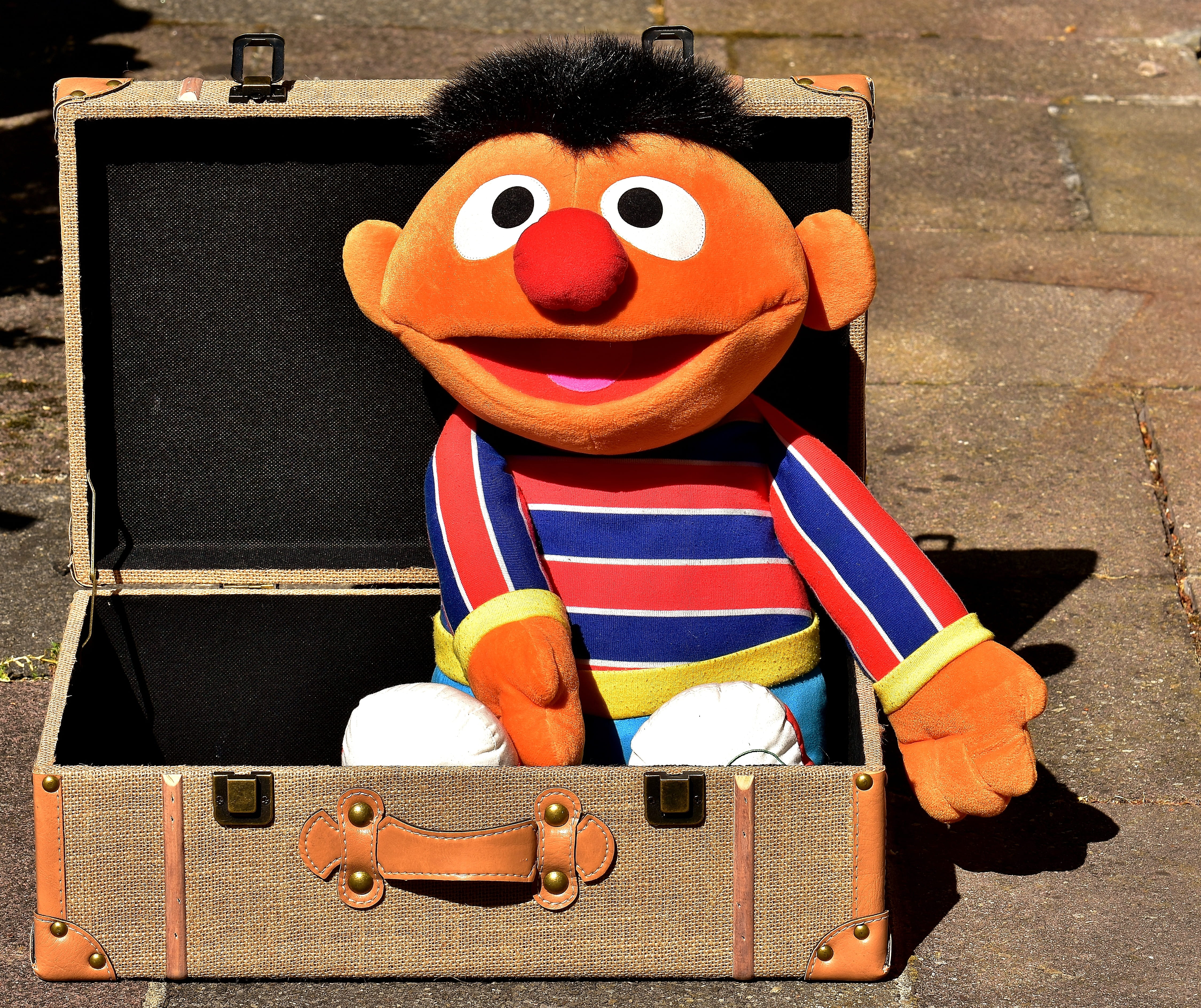 close-up, briefcase, day, built structure, outdoors, art and craft, human representation, toys, stuffed toy, still life, play, sesame street, teddy bear, HD Wallpaper