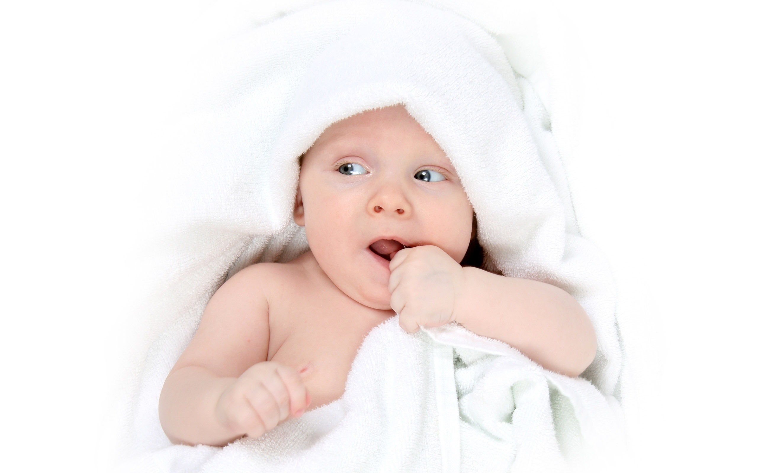 2K, white, Baby, Shifted, s, Attention, towel, Cute, HD Wallpaper