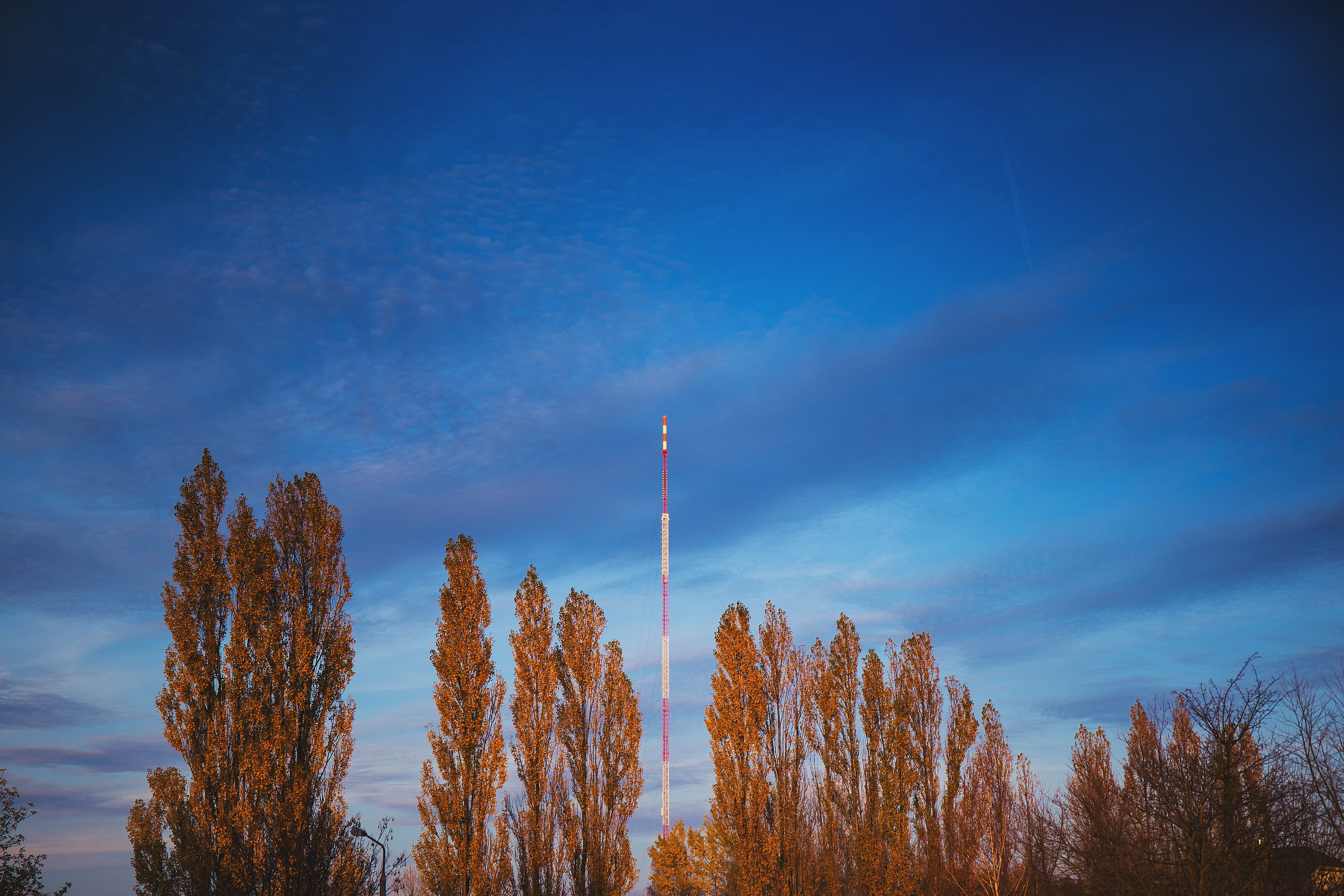 outdoors, city, tranquility, blue, pollution, architecture, tree, bare tree, olsztyn, sky, warmia, yellow, television, day, land, 5K, tall - high, plant, HD Wallpaper