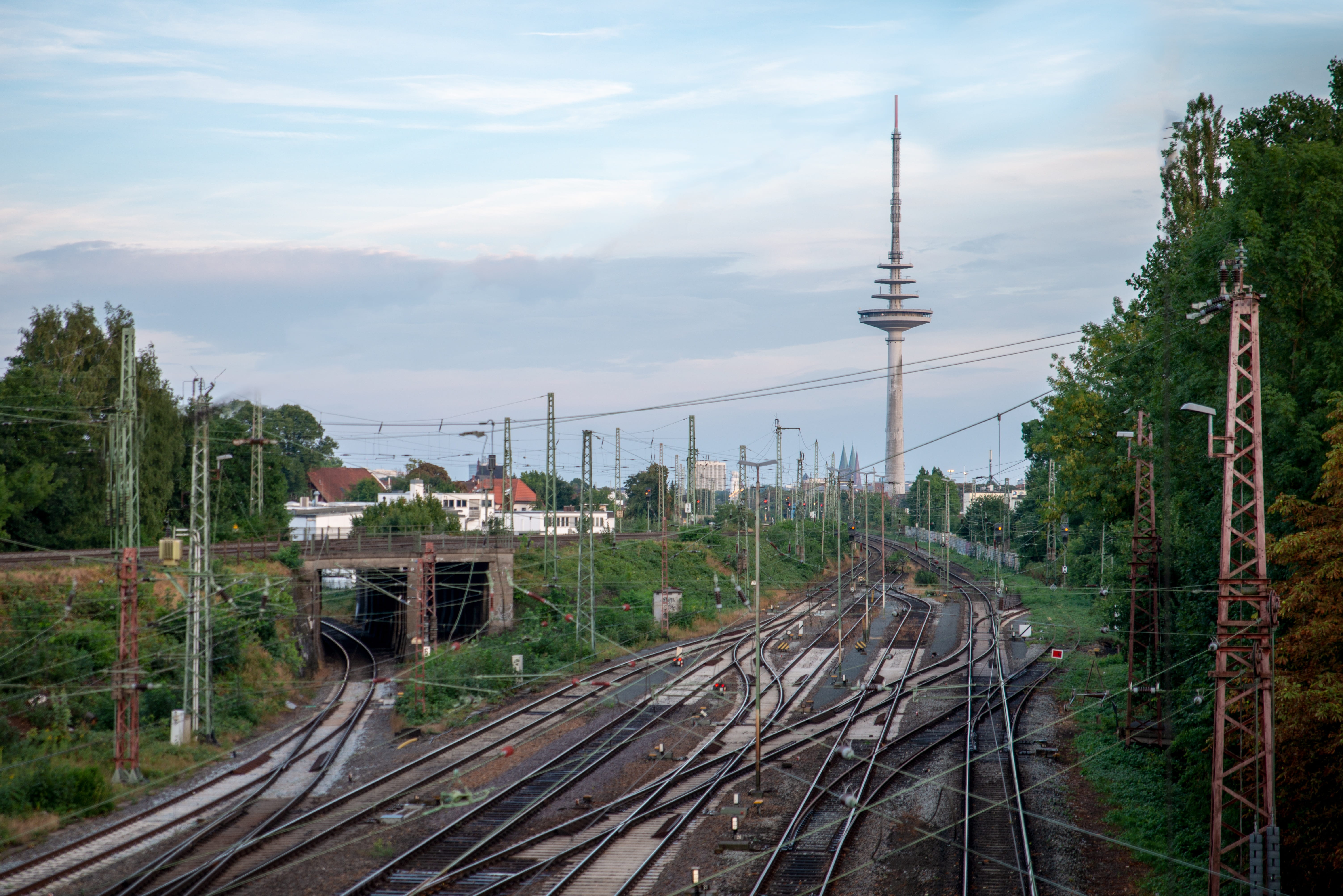 tree, track, city, power supply, transportation, built structure, railway, spire, plant, transport, sky, walle, rails, summer, tall - high, public transportation, HD Wallpaper