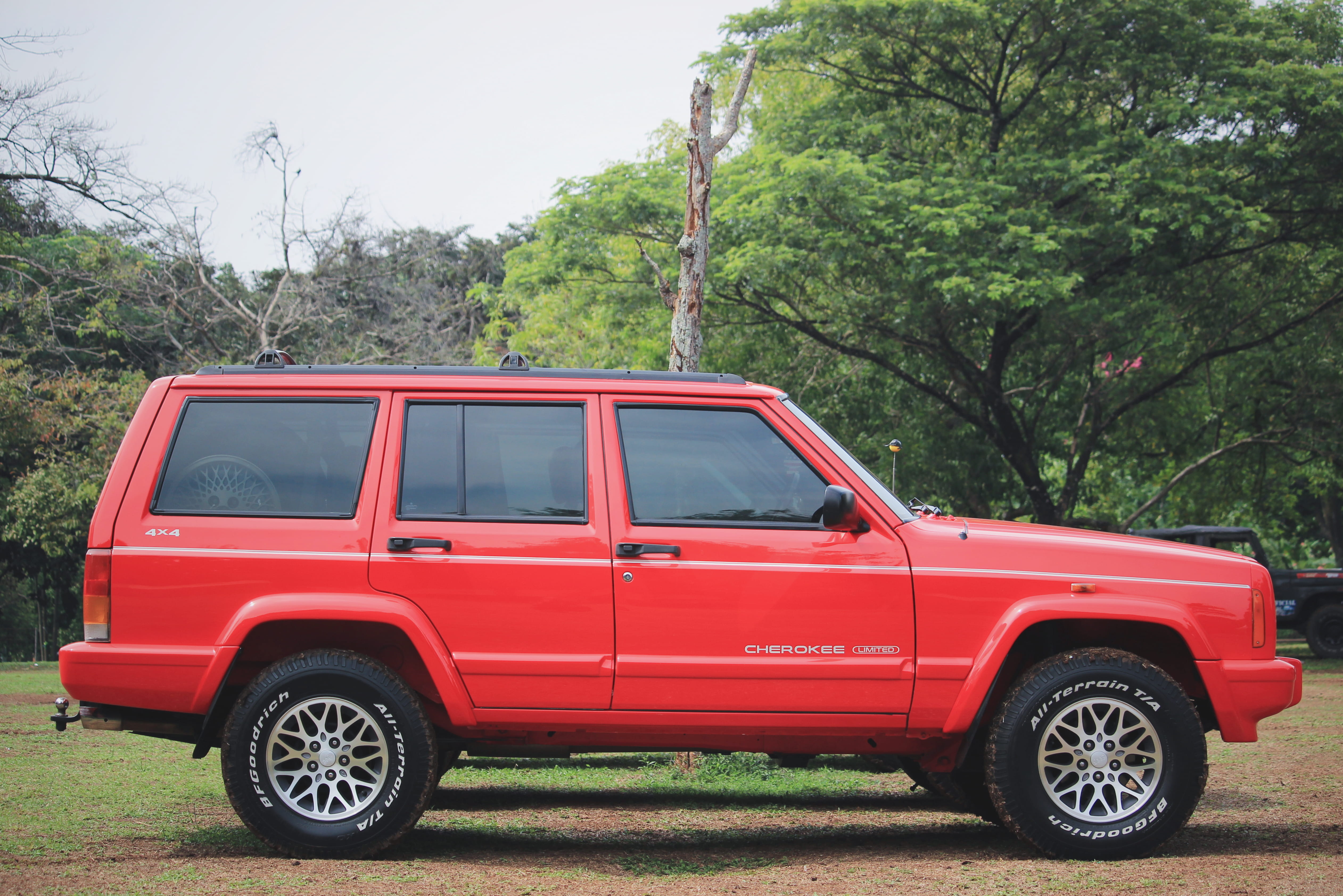 plant, automotive, motor vehicle, no people, mode of transportation, offroad, hype, timeless, growth, nature, retro styled, canonphotography, red, day, HD Wallpaper