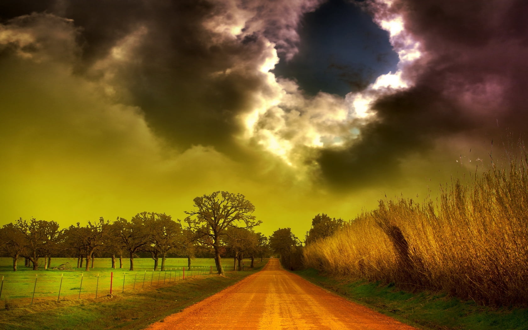 clouds, the way forward, tree, farm, sunlight, light - Natural Phenomenon, environment, cloud - Sky, forest, morning, blue, landscaped, tranquility, colors, HD Wallpaper