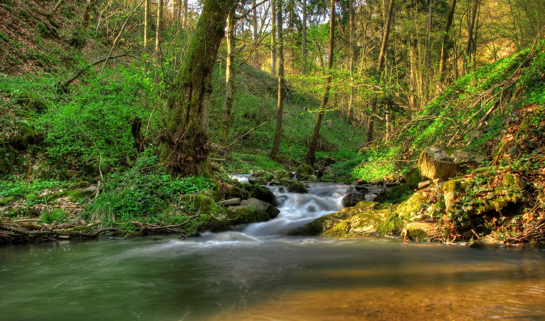 leaf, river, falling, travel, springtime, outdoors, waterfall, wilderness Area, growth, motion, gleams, tranquil Scene, tropical Rainforest, nature, austria klein-pyokhlarn, HD Wallpaper