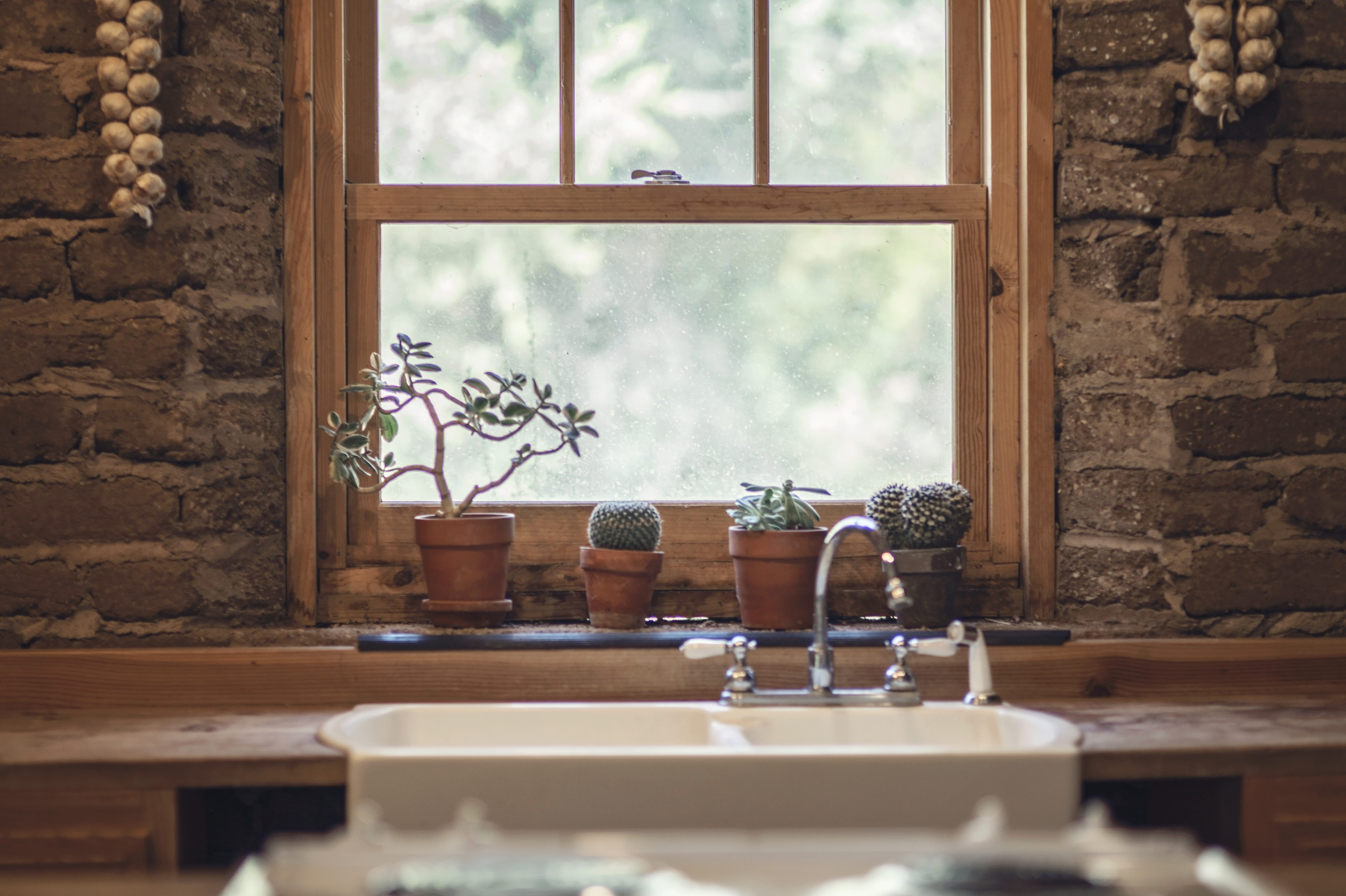 plant, closeup, window, country, architecture, selective focus, natural, agriculture, salad, container, domestic room, 4K, garlic, kitchen, nature, design, HD Wallpaper