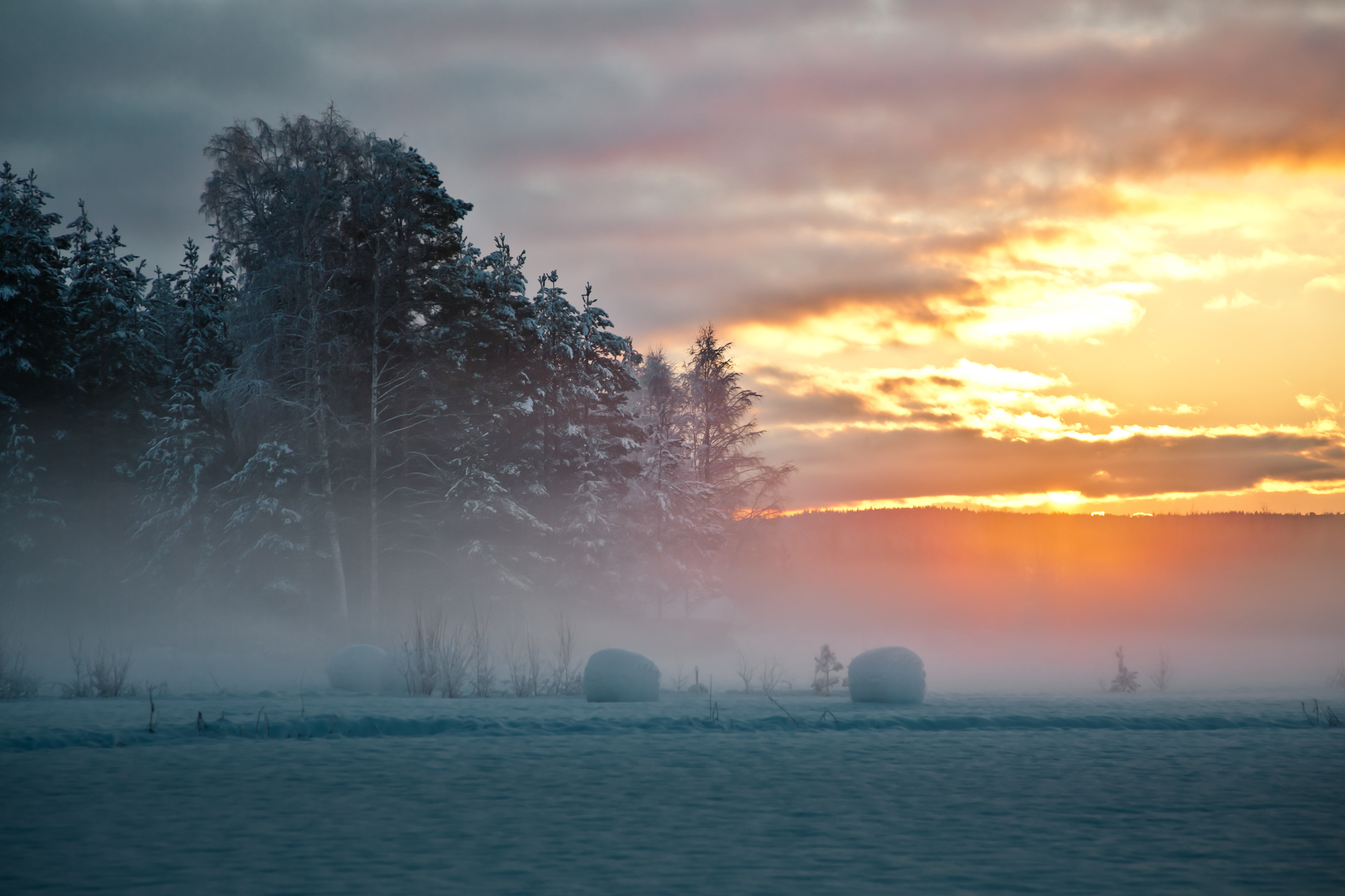 winter, snow, trees, North, 5K, Sunset, Sweden, fog, HD Wallpaper