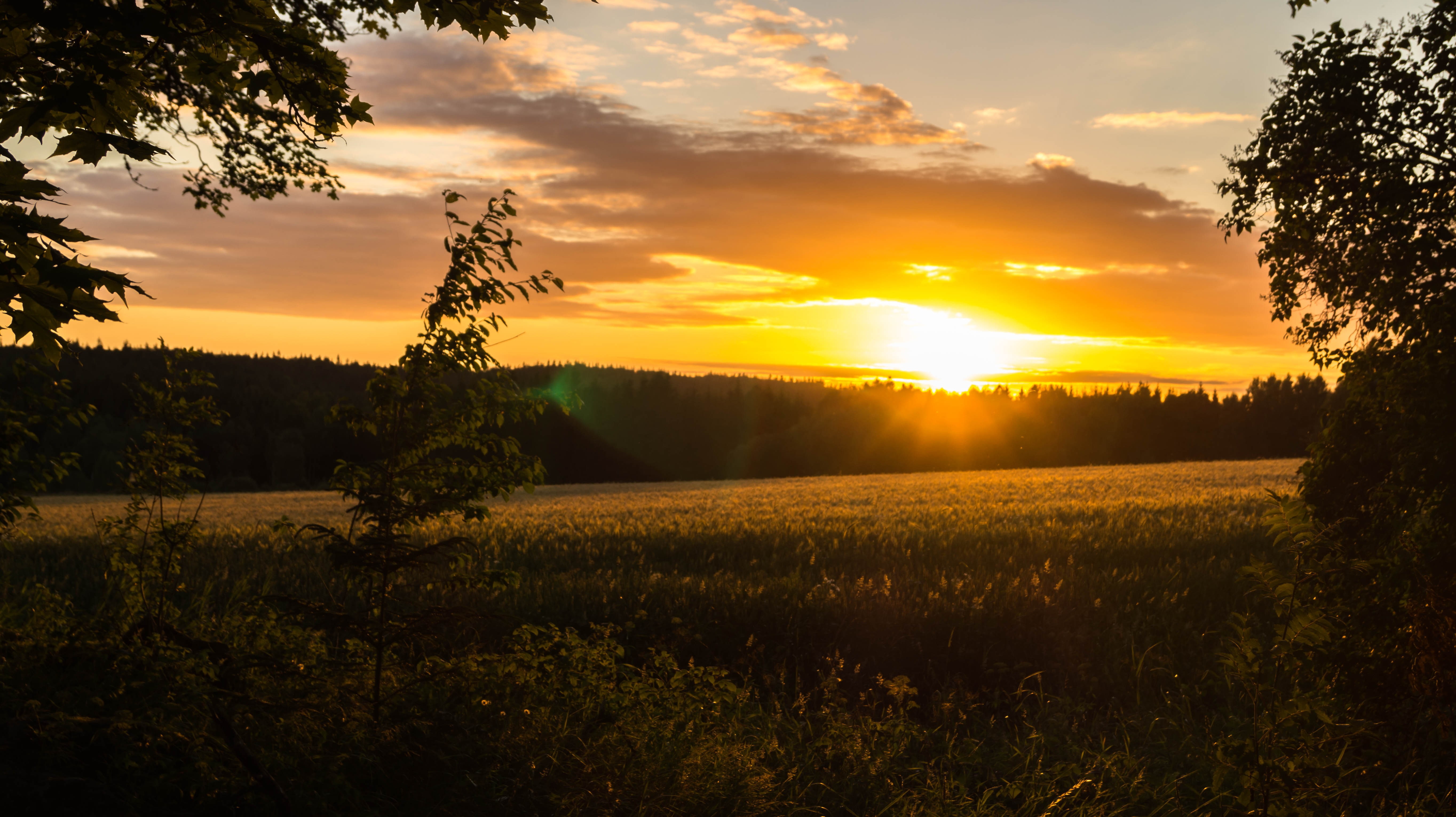 cloud - sky, nature, rural scene, tranquility, landscape, sunset, tree, no people, field, beauty in nature, 5K, scenics - nature, land, orange color, lens flare, HD Wallpaper